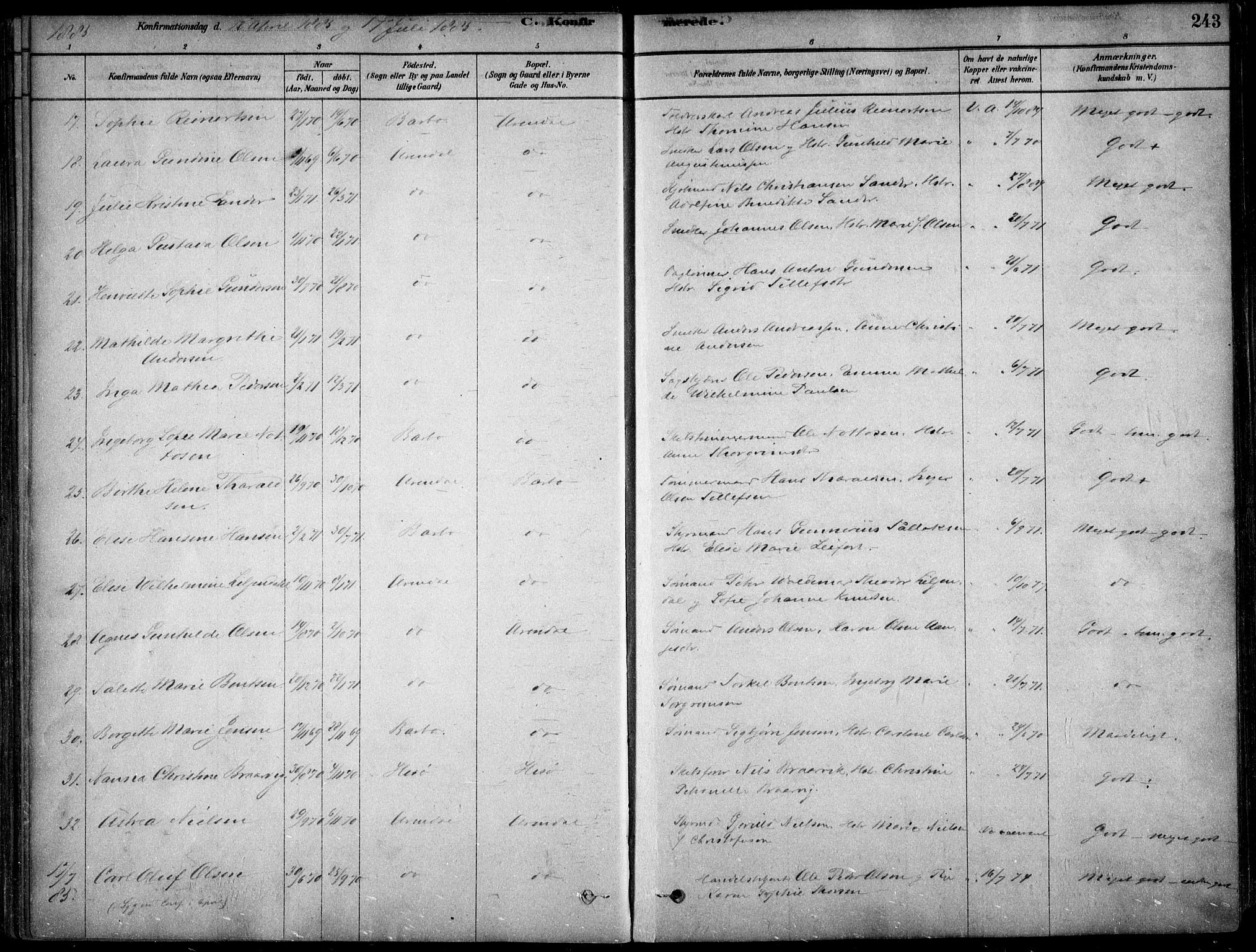 Arendal sokneprestkontor, Trefoldighet, AV/SAK-1111-0040/F/Fa/L0008: Parish register (official) no. A 8, 1878-1899, p. 243