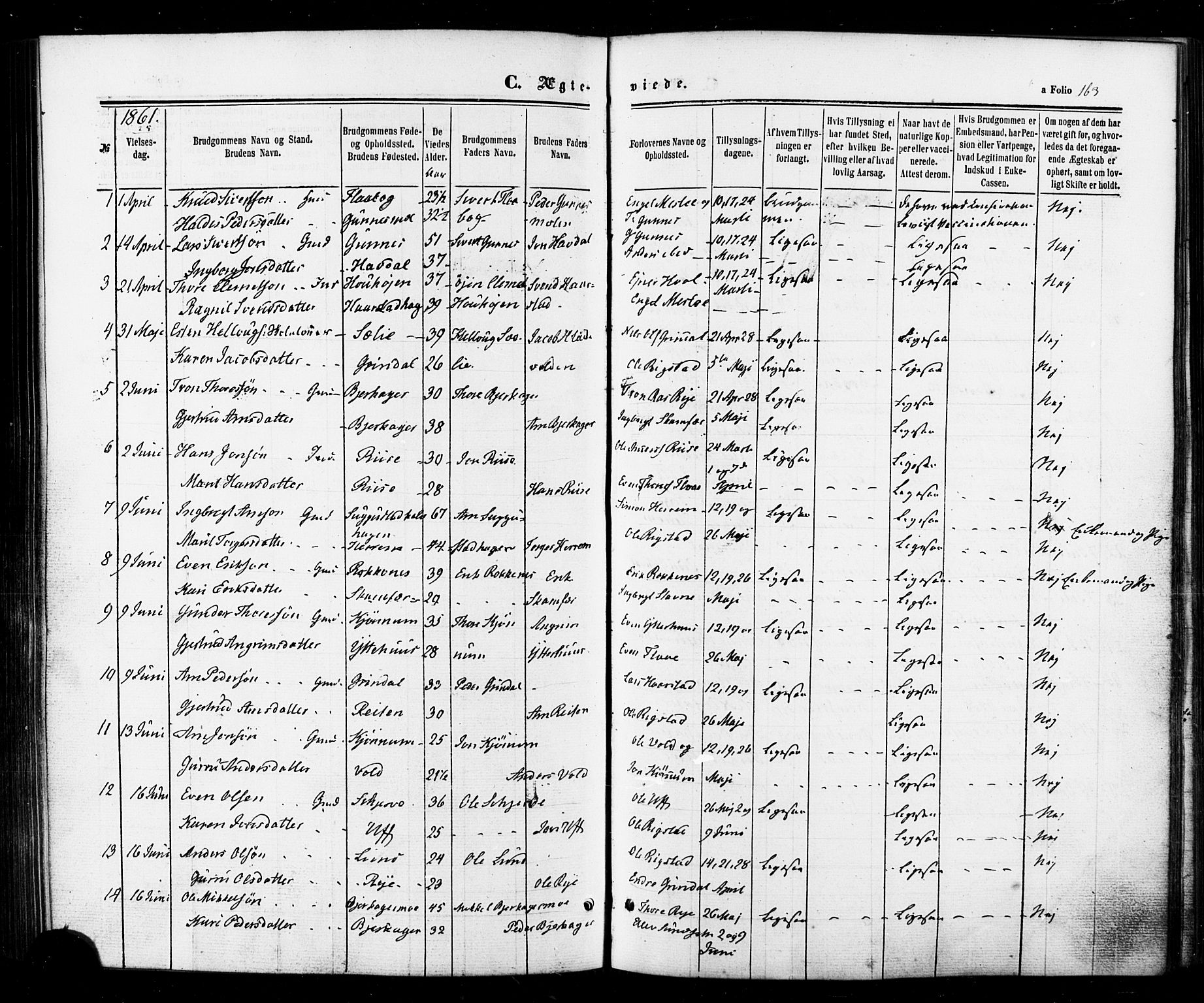 Ministerialprotokoller, klokkerbøker og fødselsregistre - Sør-Trøndelag, SAT/A-1456/674/L0870: Parish register (official) no. 674A02, 1861-1879, p. 163