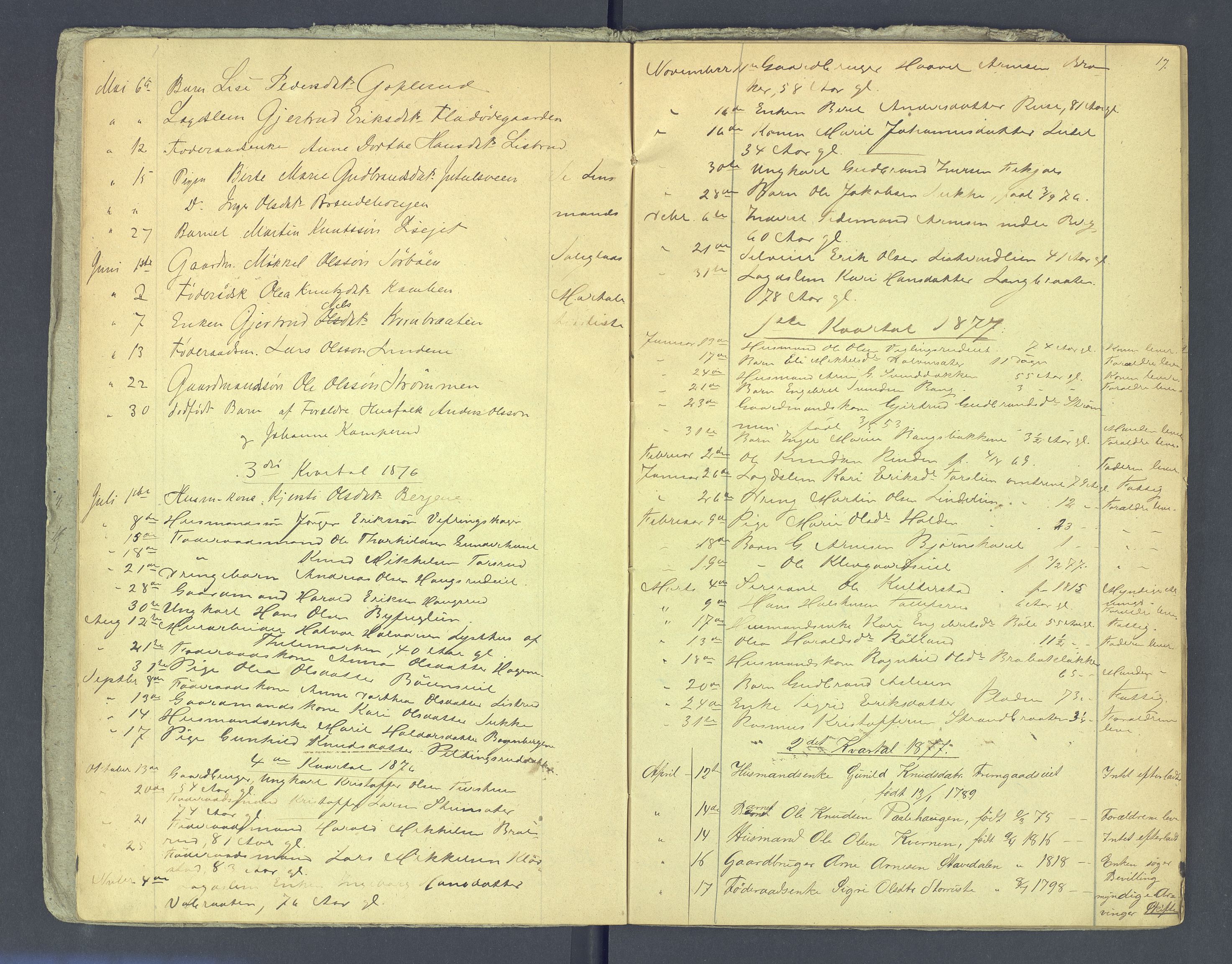 Valdres sorenskriveri, AV/SAH-TING-016/J/Je/L0001/0006: Dødsfallsprotokoller / Dødsfallsprotokoll, 1876-1883, p. 17