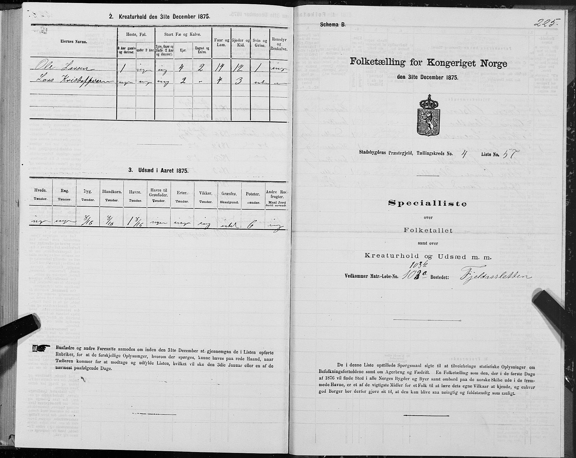 SAT, 1875 census for 1625P Stadsbygd, 1875, p. 2225