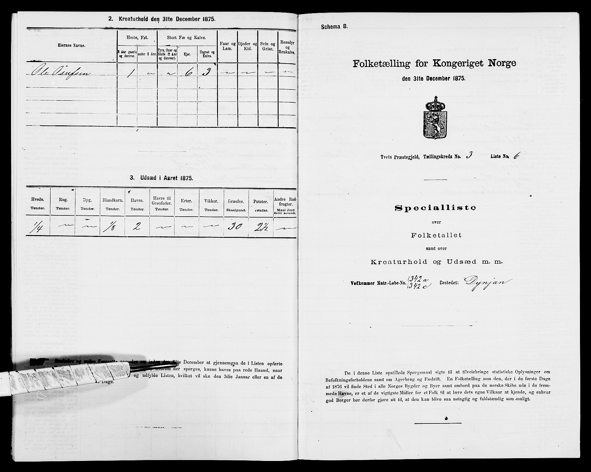 SAK, 1875 census for 1013P Tveit, 1875, p. 325