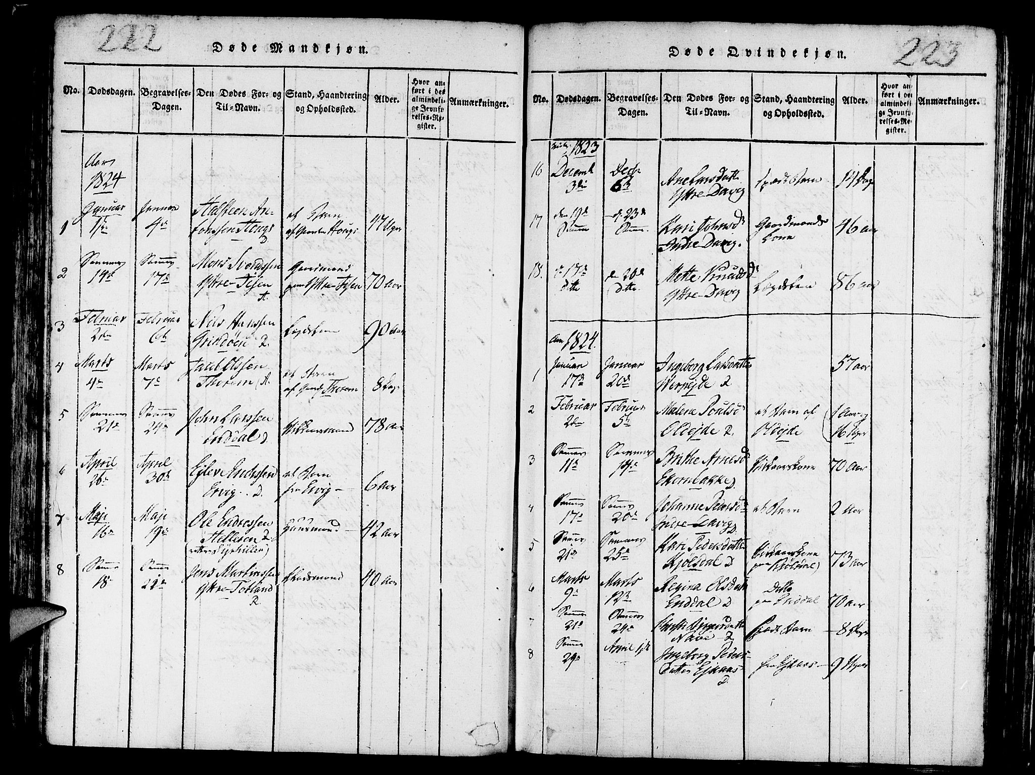 Davik sokneprestembete, AV/SAB-A-79701/H/Haa/Haaa/L0003: Parish register (official) no. A 3, 1816-1830, p. 222-223