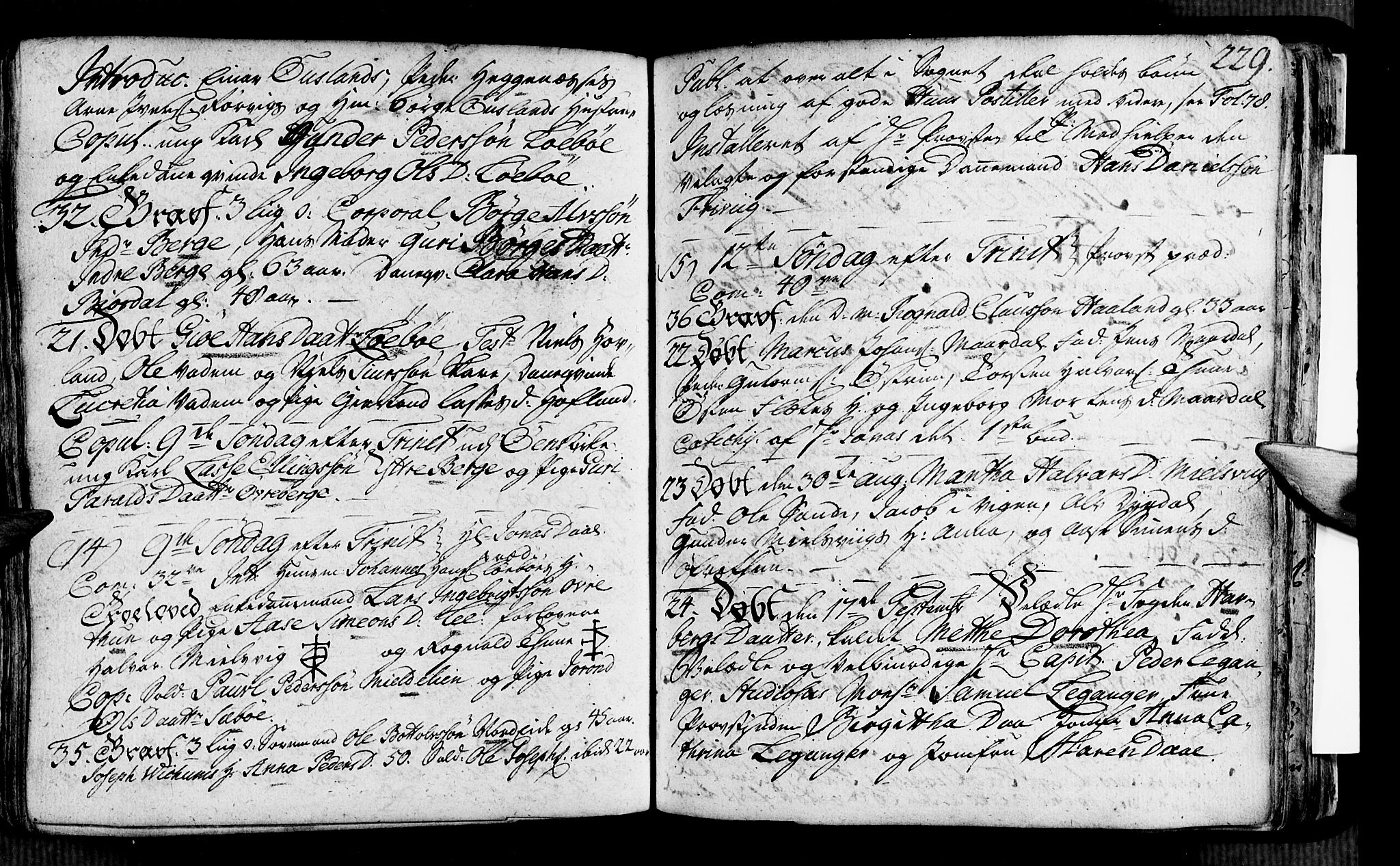 Vik sokneprestembete, AV/SAB-A-81501/H/Haa/Haaa/L0002: Parish register (official) no. A 2 / 3, 1740-1755, p. 229
