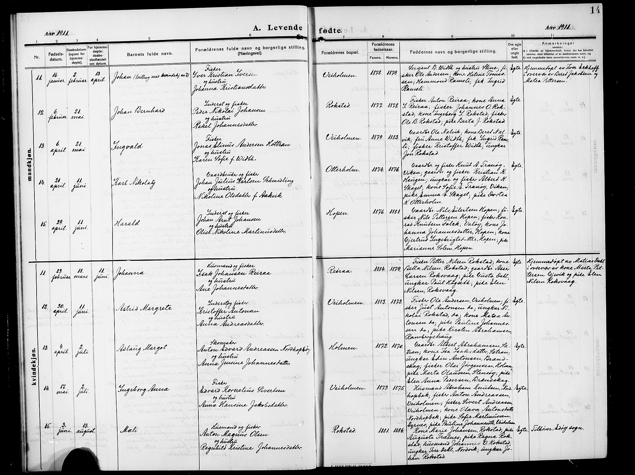 Ministerialprotokoller, klokkerbøker og fødselsregistre - Møre og Romsdal, AV/SAT-A-1454/583/L0956: Parish register (copy) no. 583C01, 1909-1925, p. 14