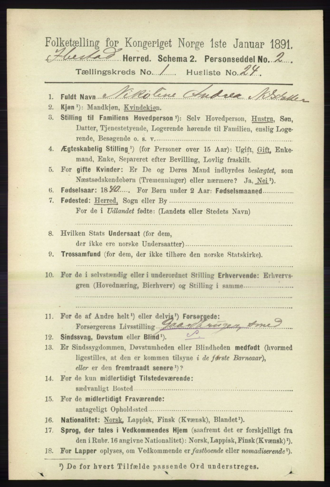 RA, 1891 census for 1917 Ibestad, 1891, p. 295