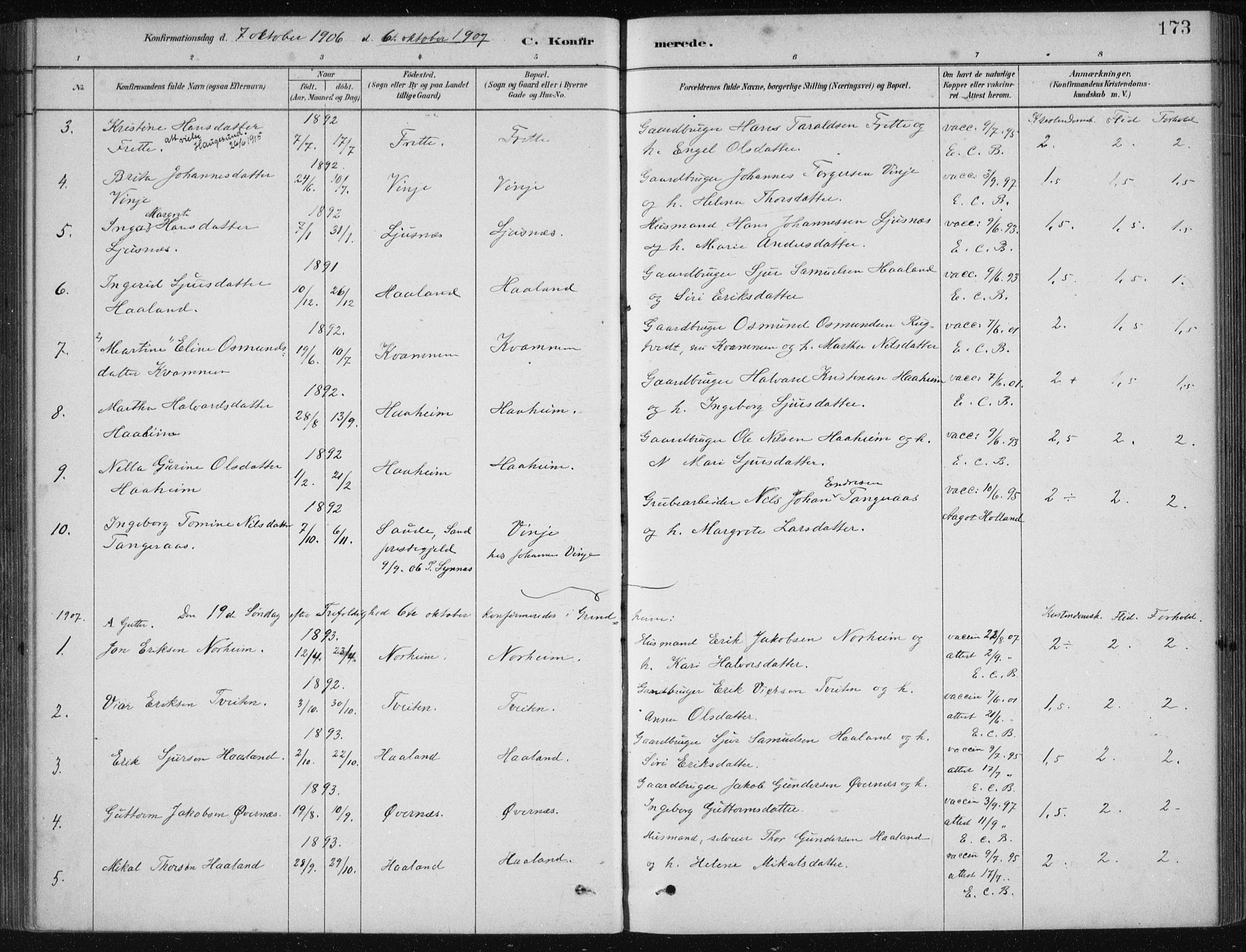 Etne sokneprestembete, SAB/A-75001/H/Haa: Parish register (official) no. D  1, 1879-1919, p. 173