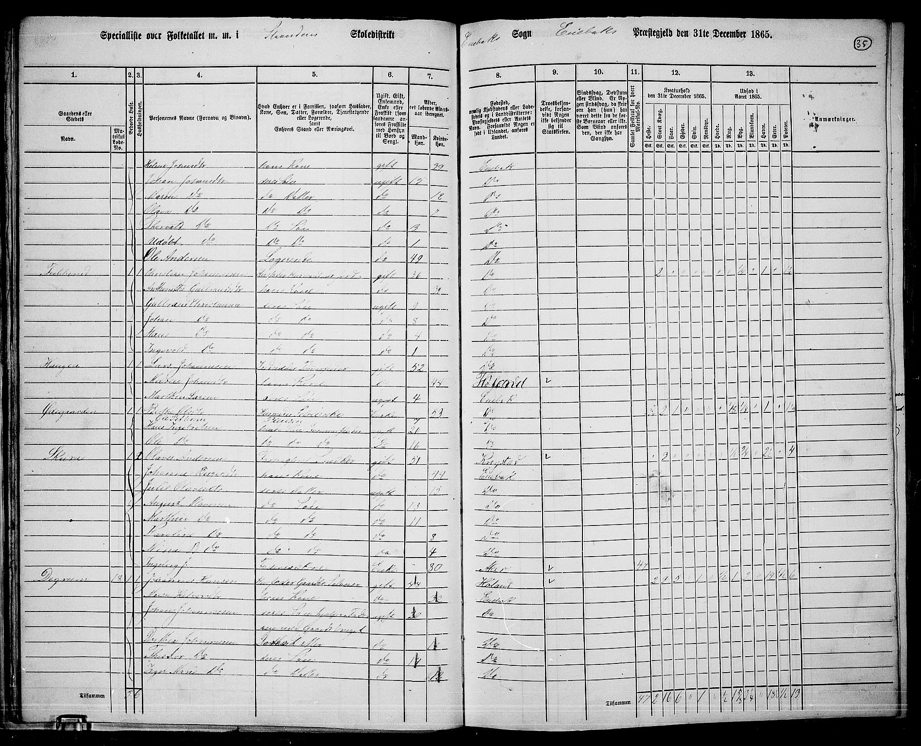 RA, 1865 census for Enebakk, 1865, p. 33