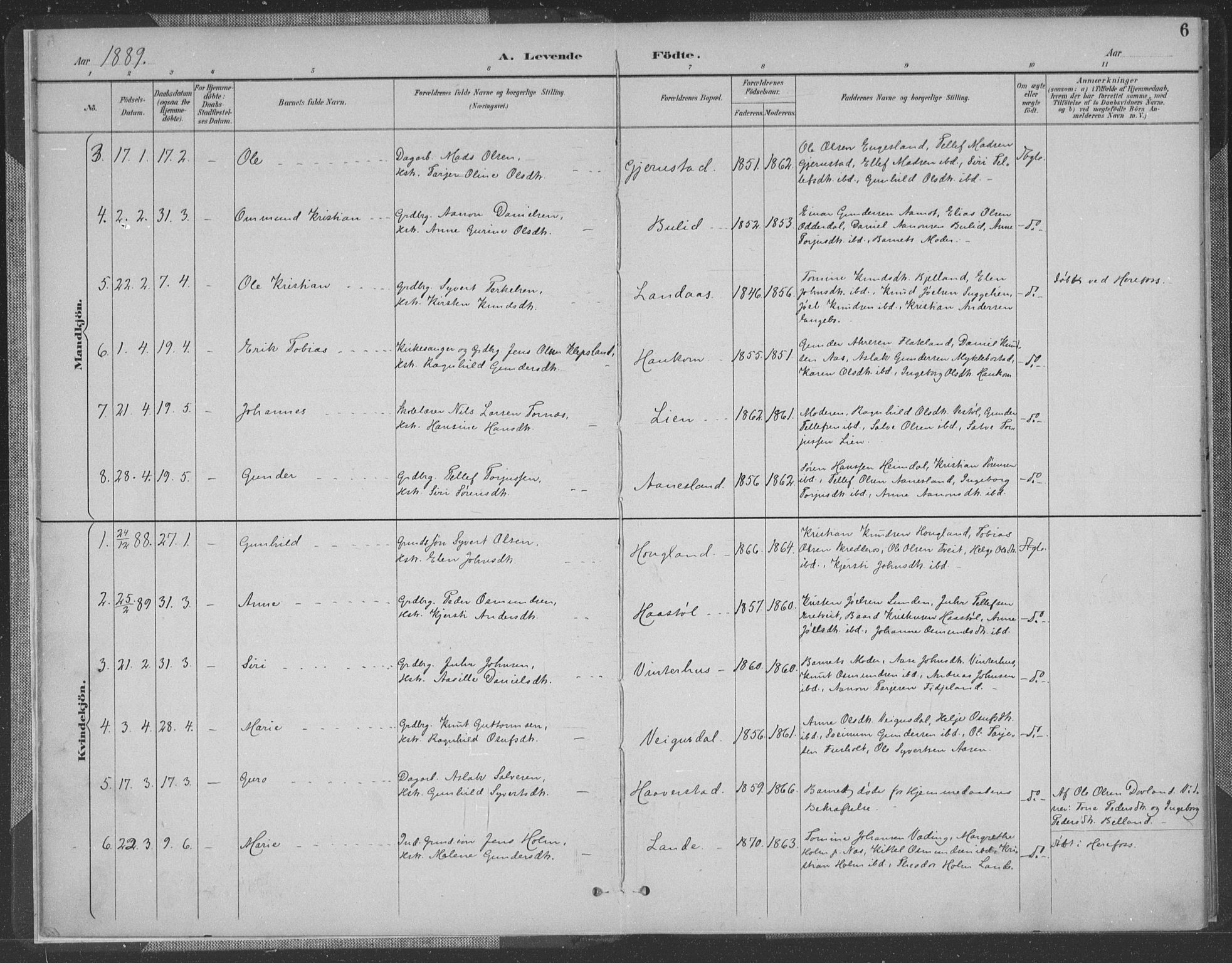 Herefoss sokneprestkontor, AV/SAK-1111-0019/F/Fa/Fab/L0004: Parish register (official) no. A 4, 1887-1909, p. 6