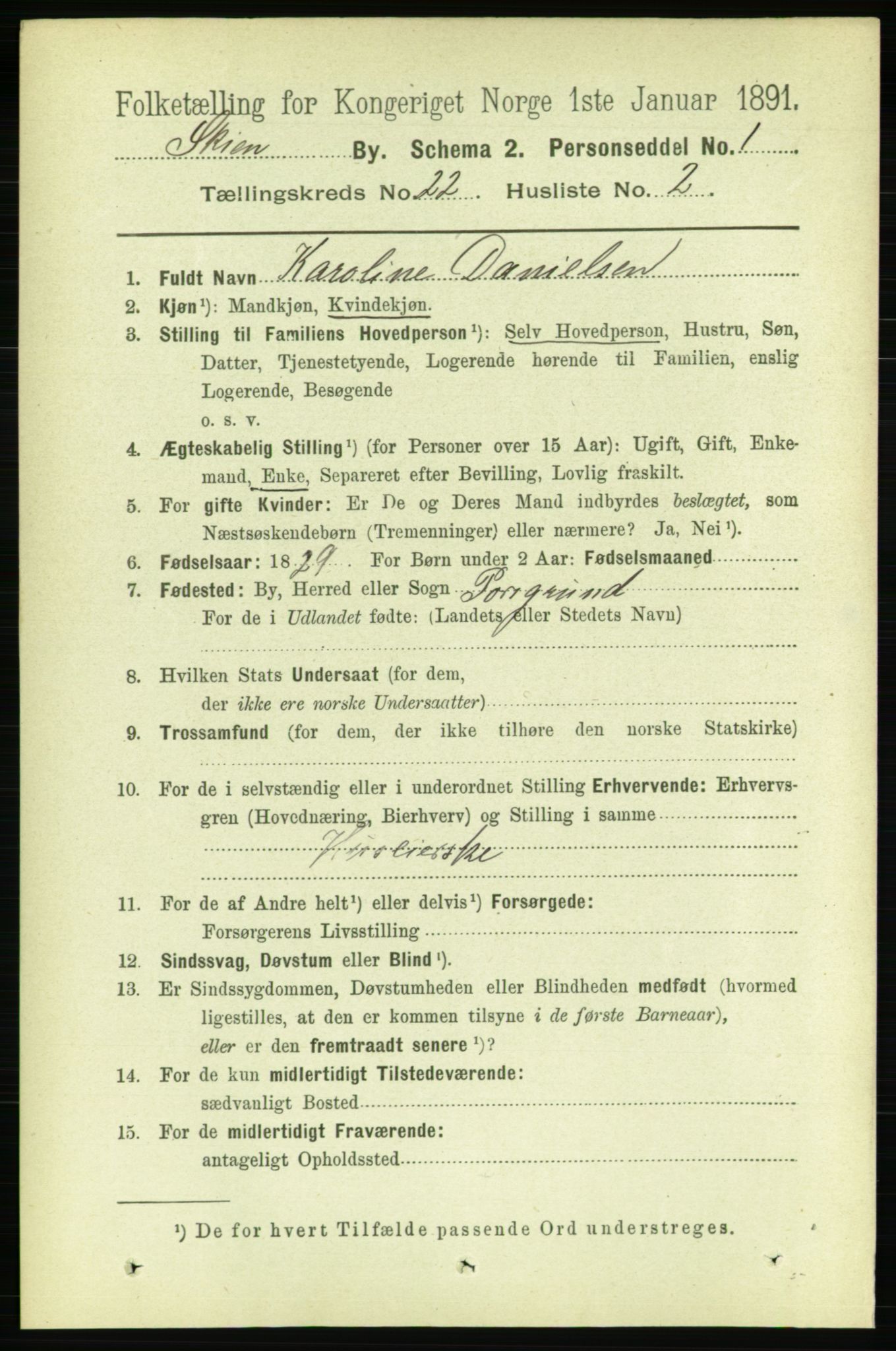 RA, 1891 census for 0806 Skien, 1891, p. 5672