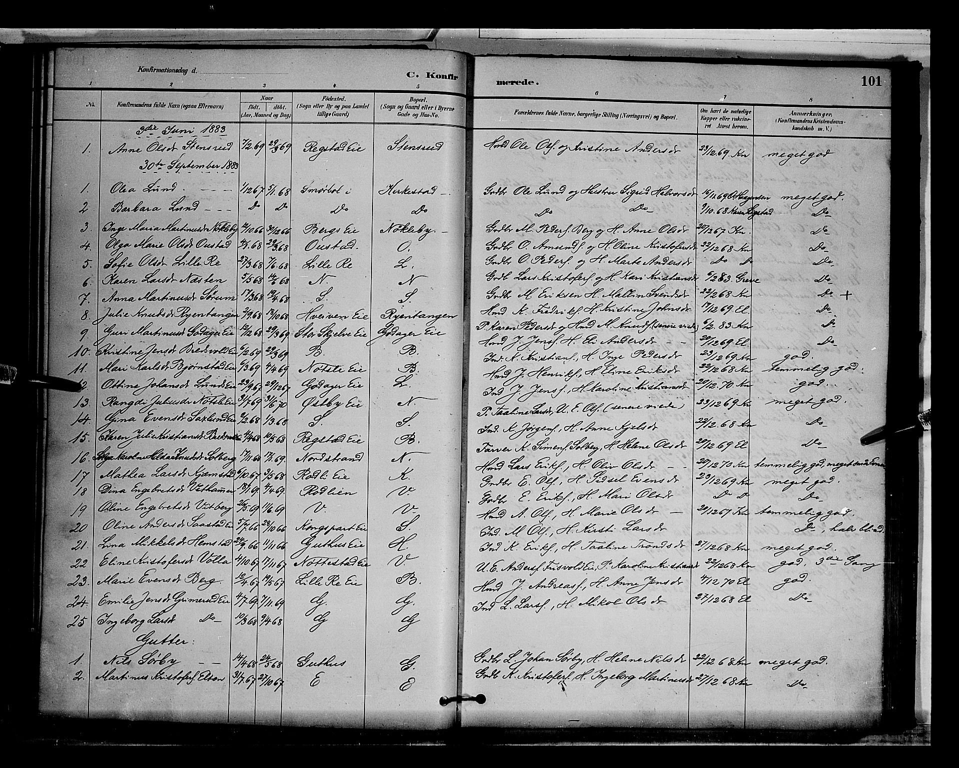 Stange prestekontor, AV/SAH-PREST-002/L/L0009: Parish register (copy) no. 9, 1883-1899, p. 101