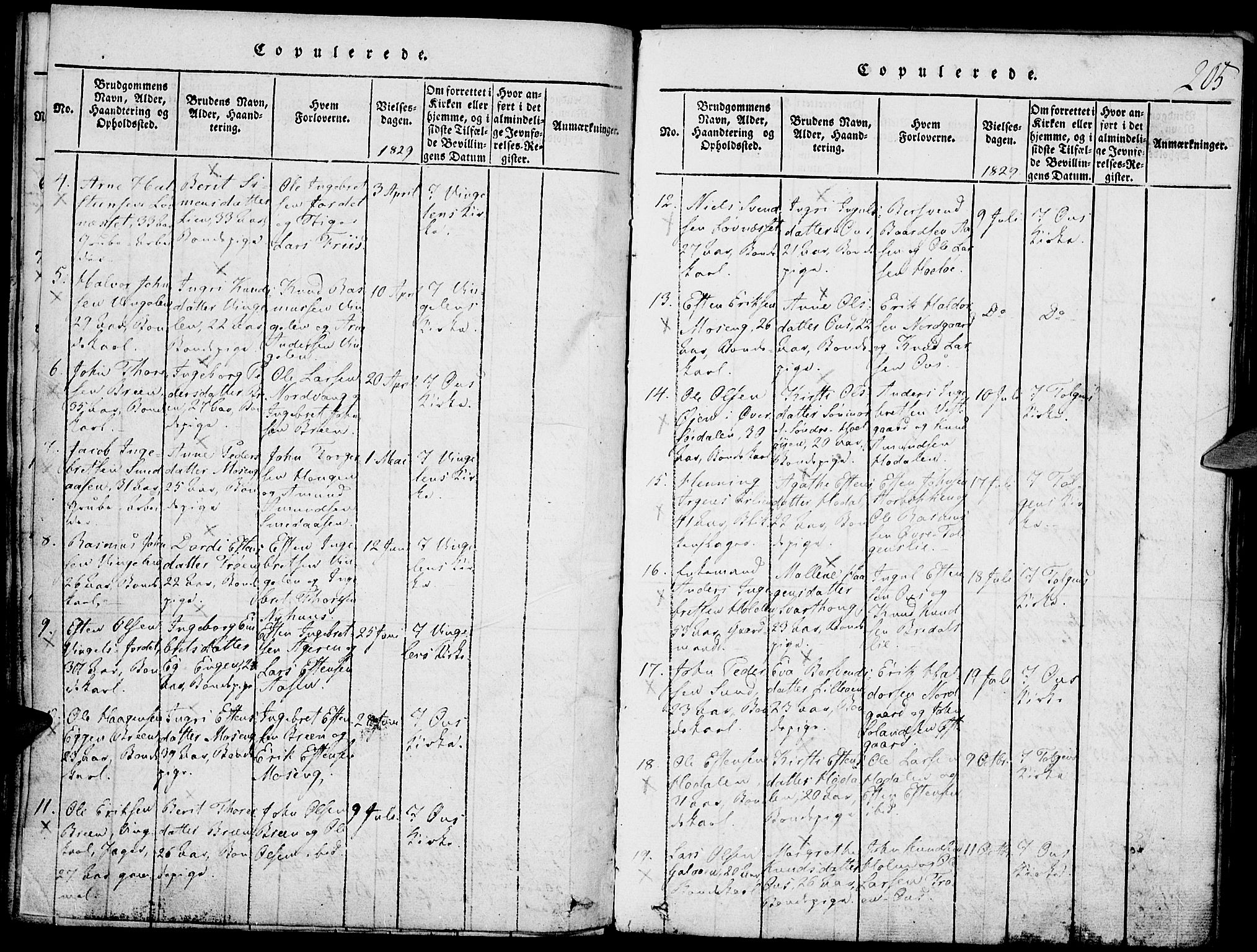 Tolga prestekontor, AV/SAH-PREST-062/K/L0004: Parish register (official) no. 4, 1815-1836, p. 205