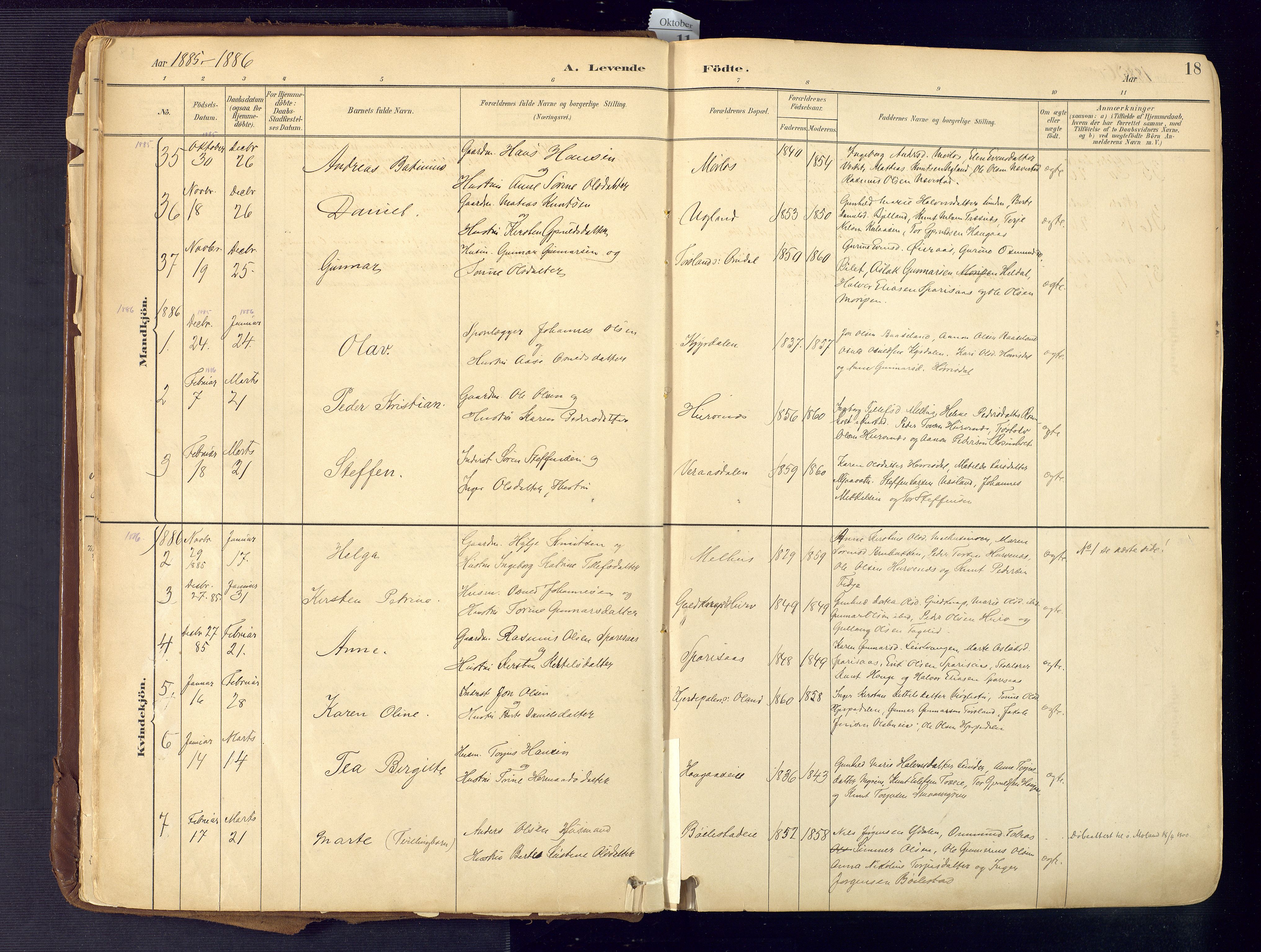 Froland sokneprestkontor, AV/SAK-1111-0013/F/Fa/L0005: Parish register (official) no. A 5, 1882-1921, p. 18