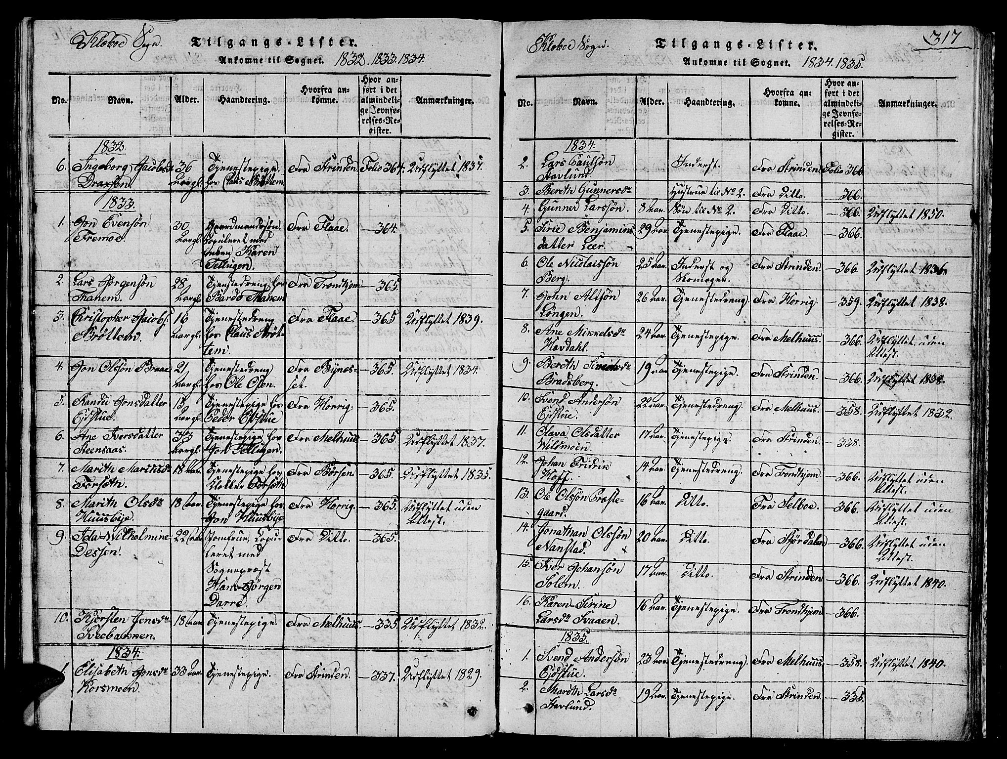 Ministerialprotokoller, klokkerbøker og fødselsregistre - Sør-Trøndelag, SAT/A-1456/618/L0450: Parish register (copy) no. 618C01, 1816-1865, p. 317