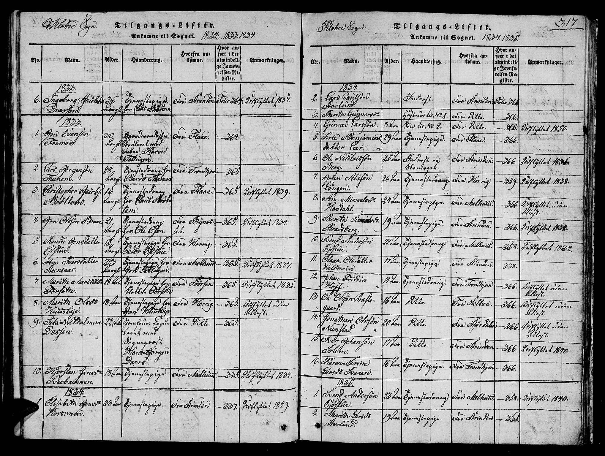 Ministerialprotokoller, klokkerbøker og fødselsregistre - Sør-Trøndelag, AV/SAT-A-1456/618/L0450: Parish register (copy) no. 618C01, 1816-1865, p. 317