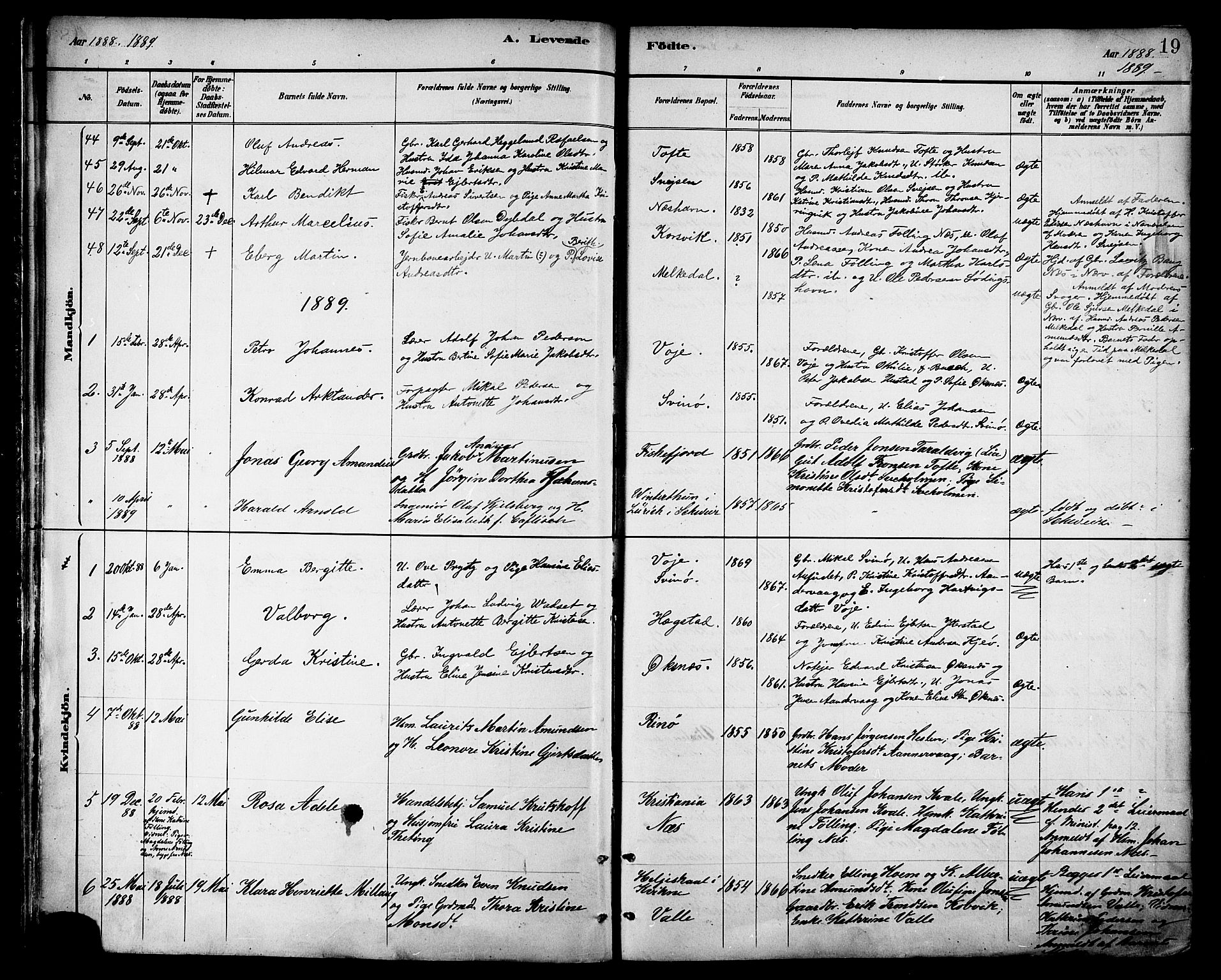 Ministerialprotokoller, klokkerbøker og fødselsregistre - Nordland, AV/SAT-A-1459/872/L1035: Parish register (official) no. 872A10, 1884-1896, p. 19