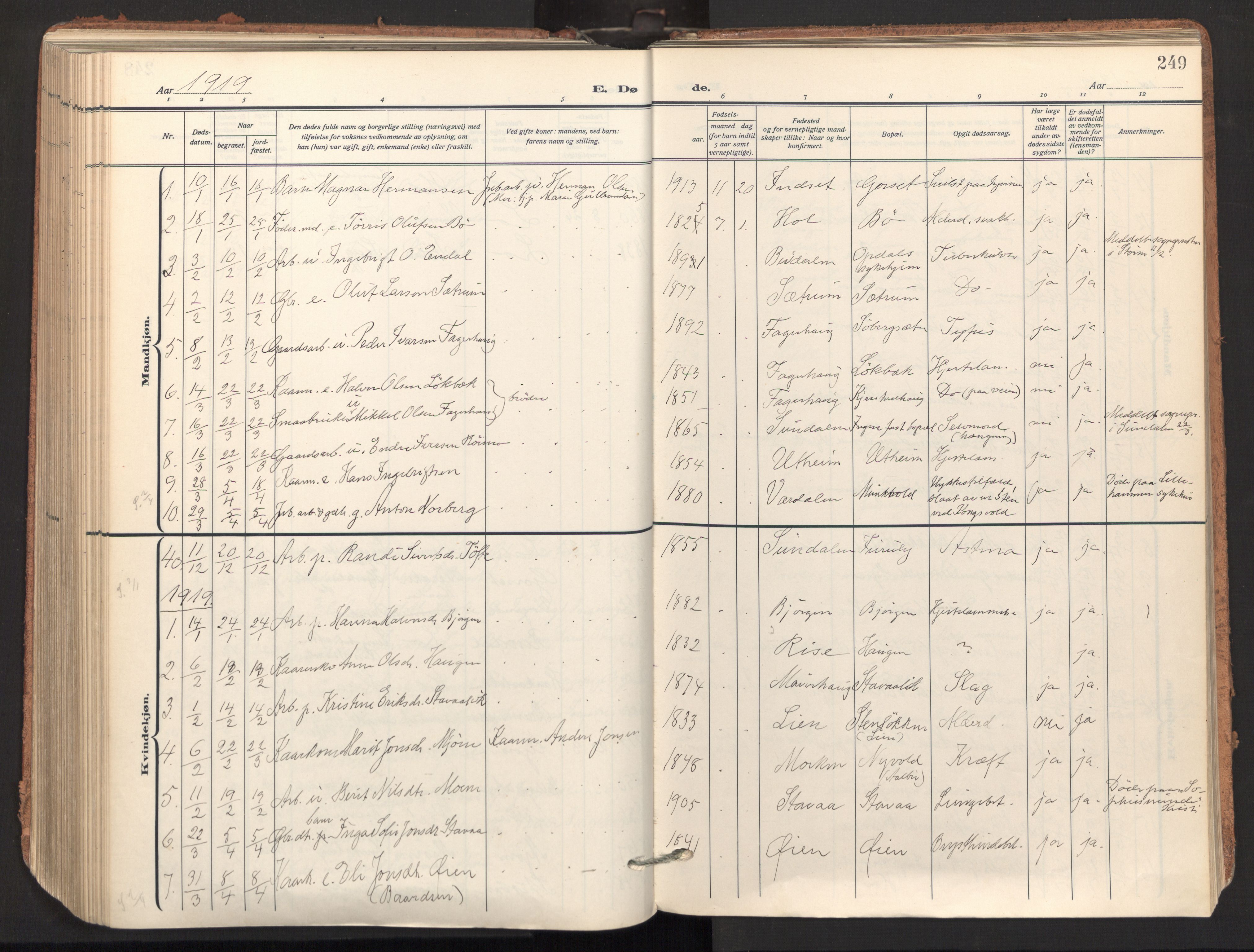 Ministerialprotokoller, klokkerbøker og fødselsregistre - Sør-Trøndelag, AV/SAT-A-1456/678/L0909: Parish register (official) no. 678A17, 1912-1930, p. 249