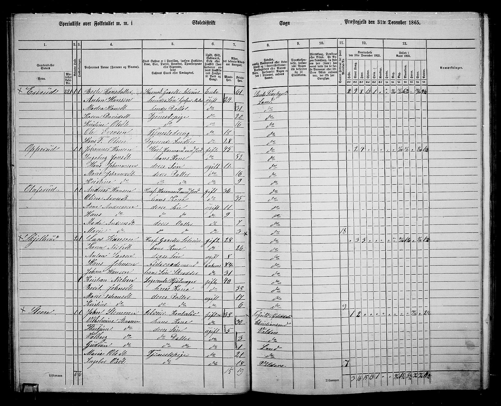 RA, 1865 census for Land, 1865, p. 270