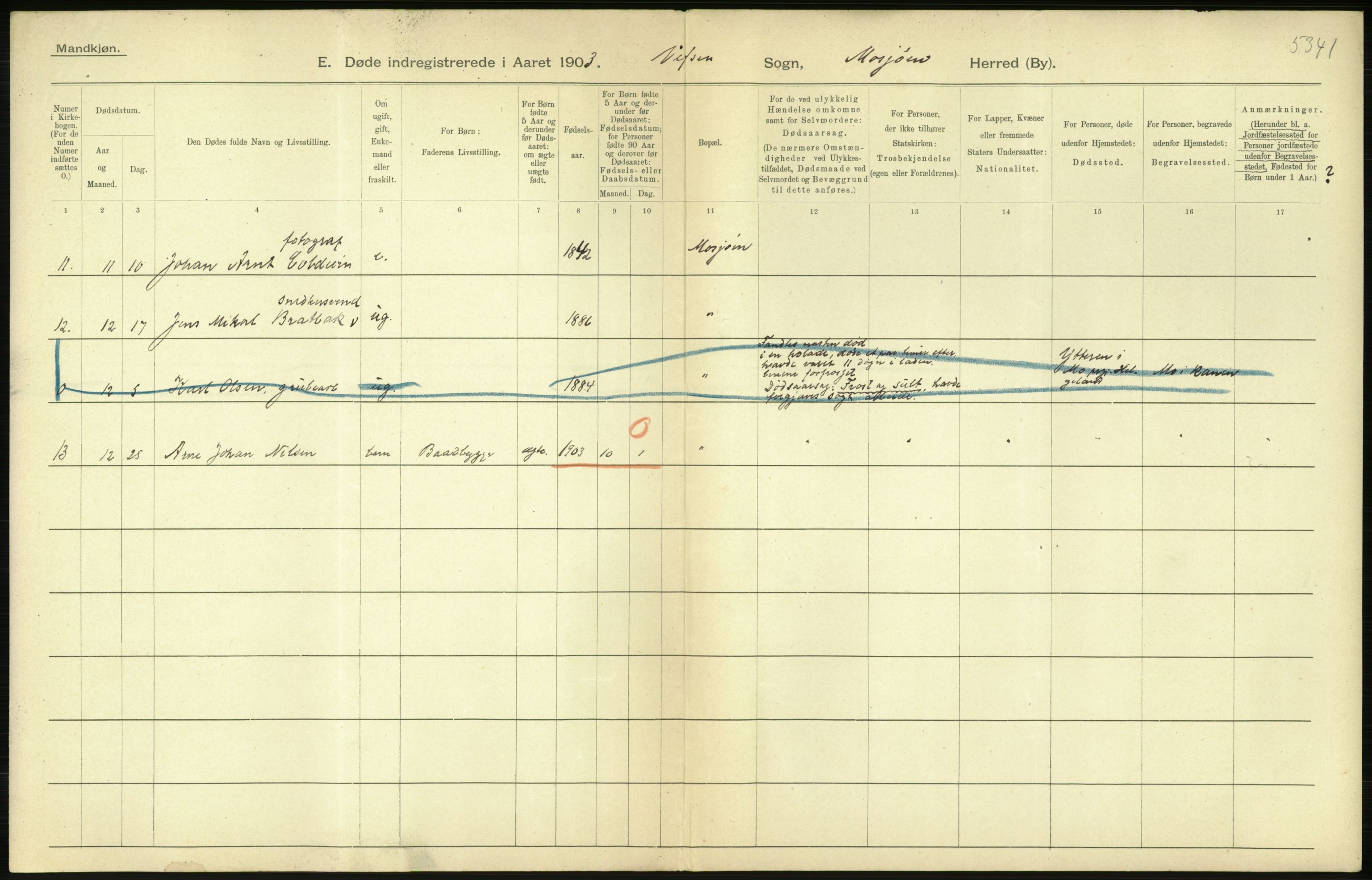 Statistisk sentralbyrå, Sosiodemografiske emner, Befolkning, AV/RA-S-2228/D/Df/Dfa/Dfaa/L0019: Nordlands amt: Fødte, gifte, døde., 1903, p. 536