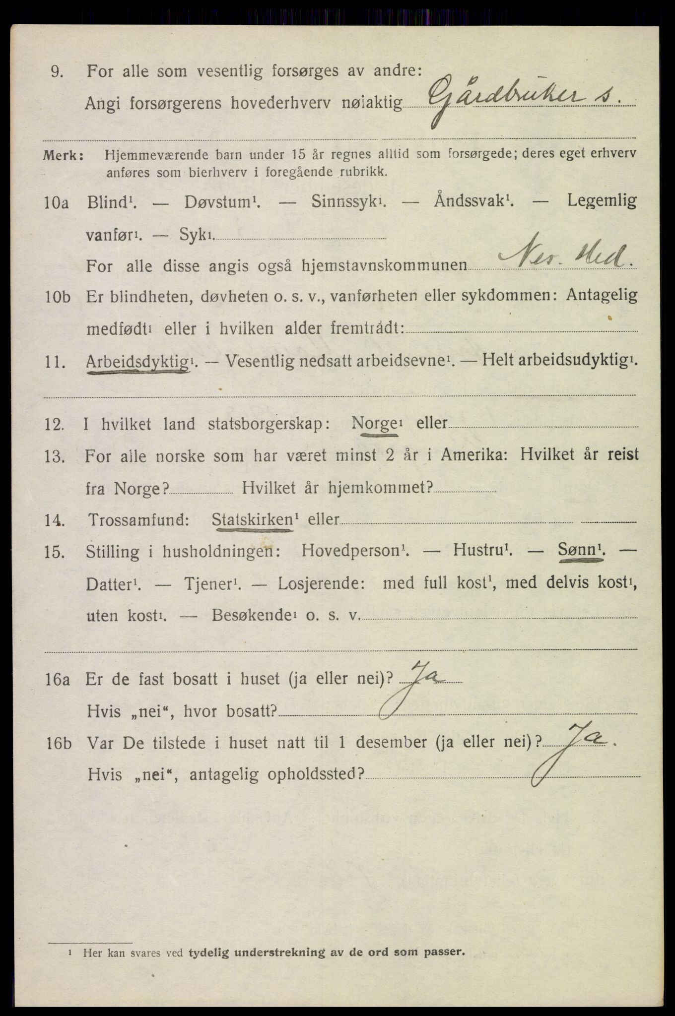 SAH, 1920 census for Nes (Hedmark), 1920, p. 5765