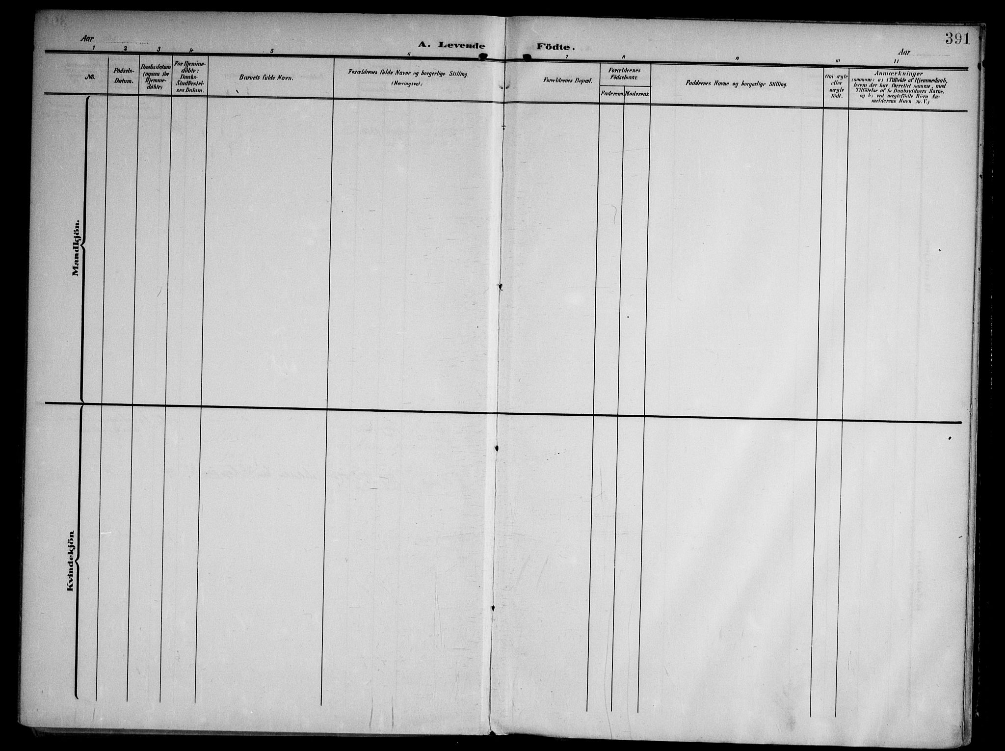 Tjølling kirkebøker, AV/SAKO-A-60/F/Fa/L0010: Parish register (official) no. 10, 1906-1923, p. 391