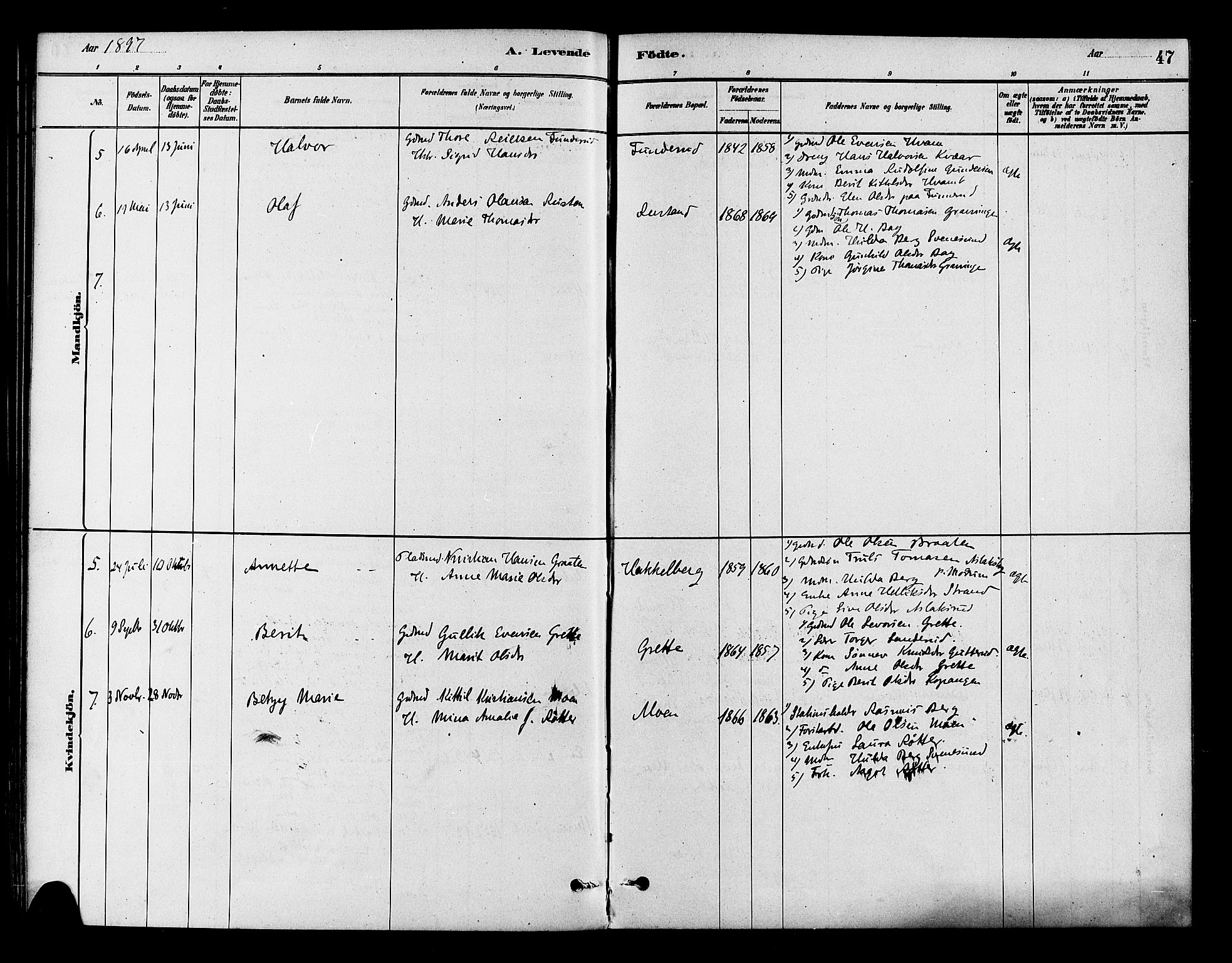 Flesberg kirkebøker, AV/SAKO-A-18/F/Fb/L0001: Parish register (official) no. II 1, 1879-1907, p. 47