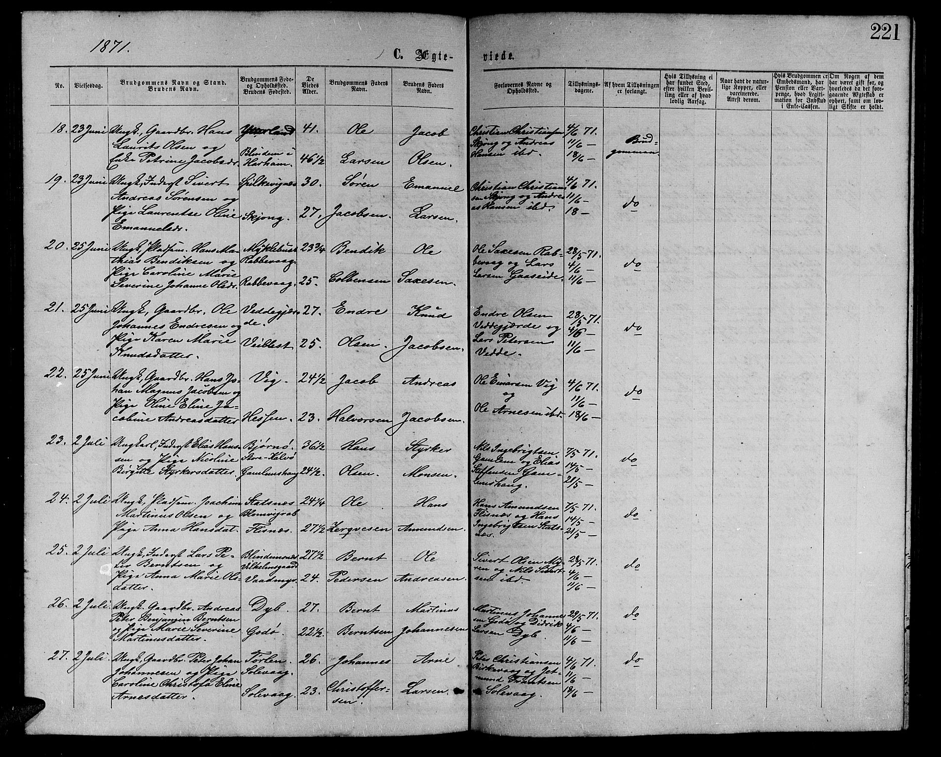 Ministerialprotokoller, klokkerbøker og fødselsregistre - Møre og Romsdal, AV/SAT-A-1454/528/L0428: Parish register (copy) no. 528C09, 1864-1880, p. 221