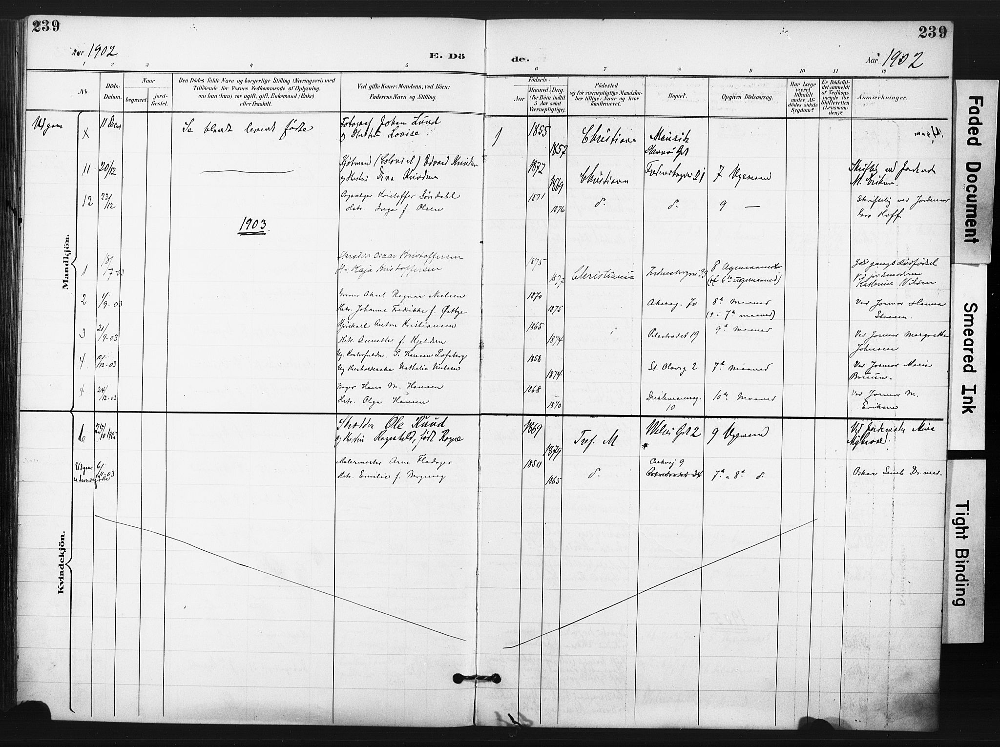 Trefoldighet prestekontor Kirkebøker, AV/SAO-A-10882/F/Fd/L0004: Parish register (official) no. IV 4, 1897-1912, p. 239