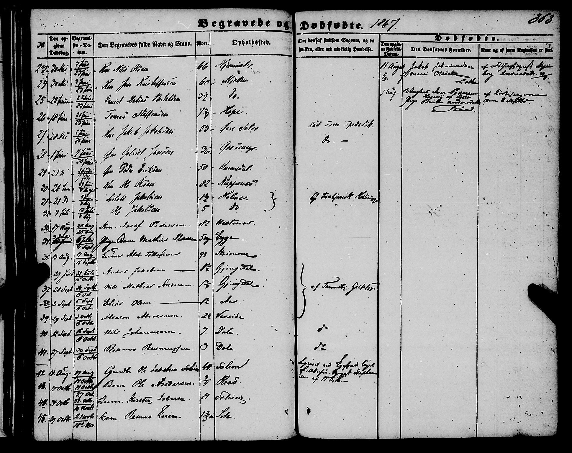 Gloppen sokneprestembete, SAB/A-80101/H/Haa/Haaa/L0009: Parish register (official) no. A 9, 1855-1870, p. 363