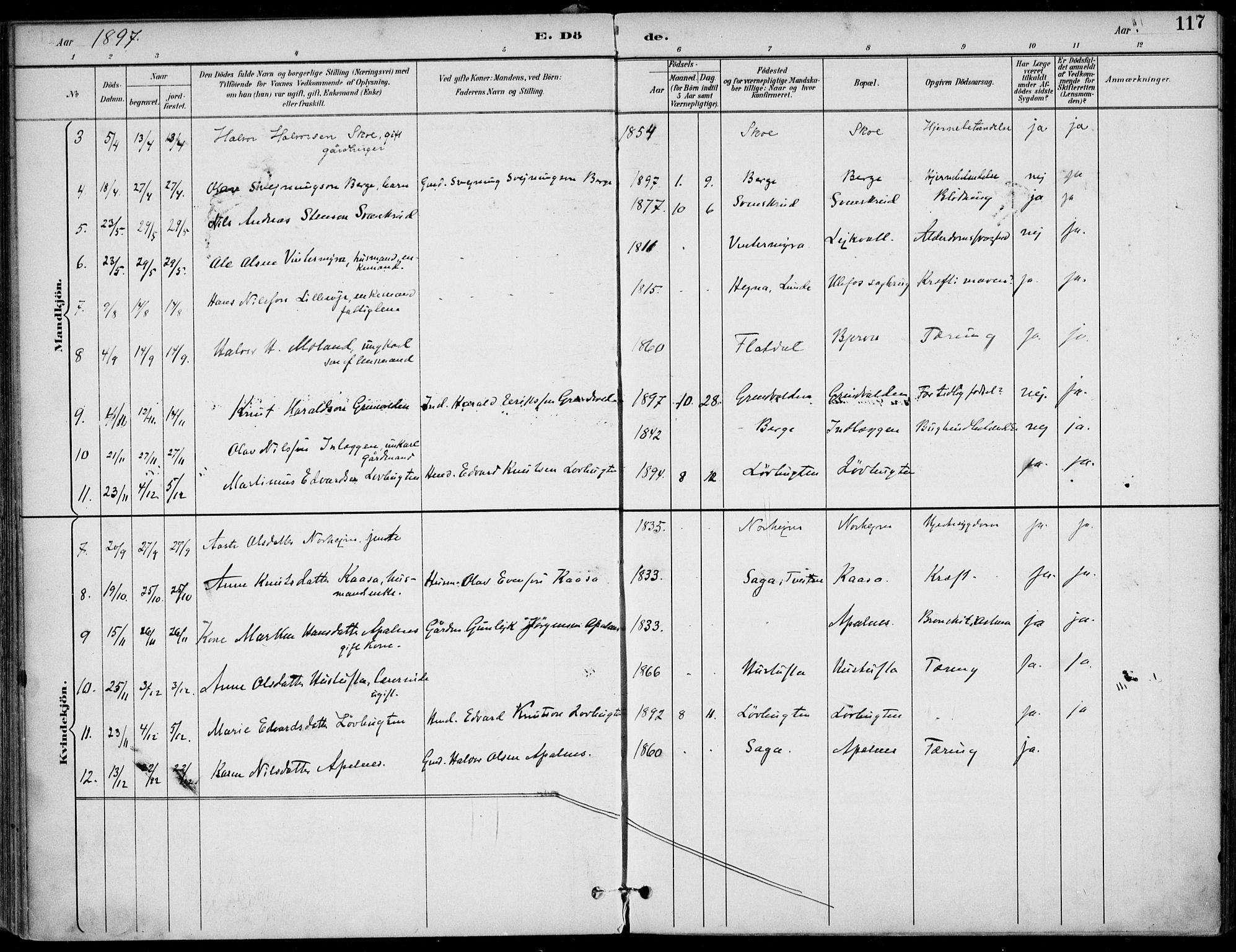 Lunde kirkebøker, AV/SAKO-A-282/F/Fa/L0003: Parish register (official) no. I 3, 1893-1902, p. 117