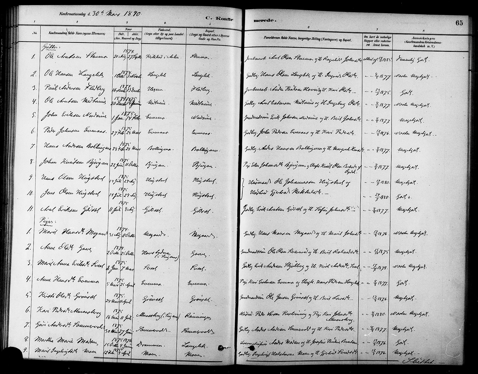 Ministerialprotokoller, klokkerbøker og fødselsregistre - Sør-Trøndelag, SAT/A-1456/685/L0972: Parish register (official) no. 685A09, 1879-1890, p. 65