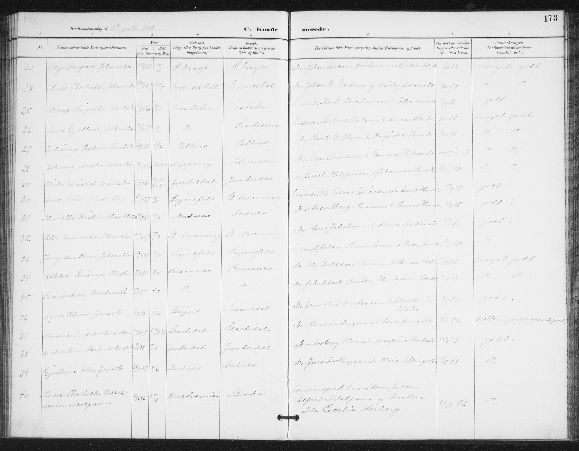 Ministerialprotokoller, klokkerbøker og fødselsregistre - Nordland, SAT/A-1459/847/L0682: Parish register (copy) no. 847C10, 1889-1907, p. 173