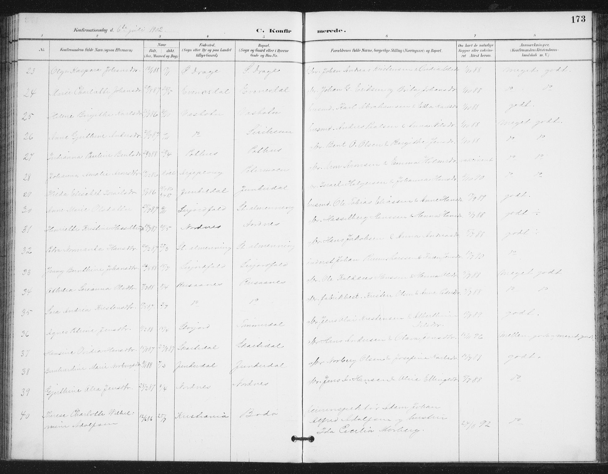 Ministerialprotokoller, klokkerbøker og fødselsregistre - Nordland, AV/SAT-A-1459/847/L0682: Parish register (copy) no. 847C10, 1889-1907, p. 173