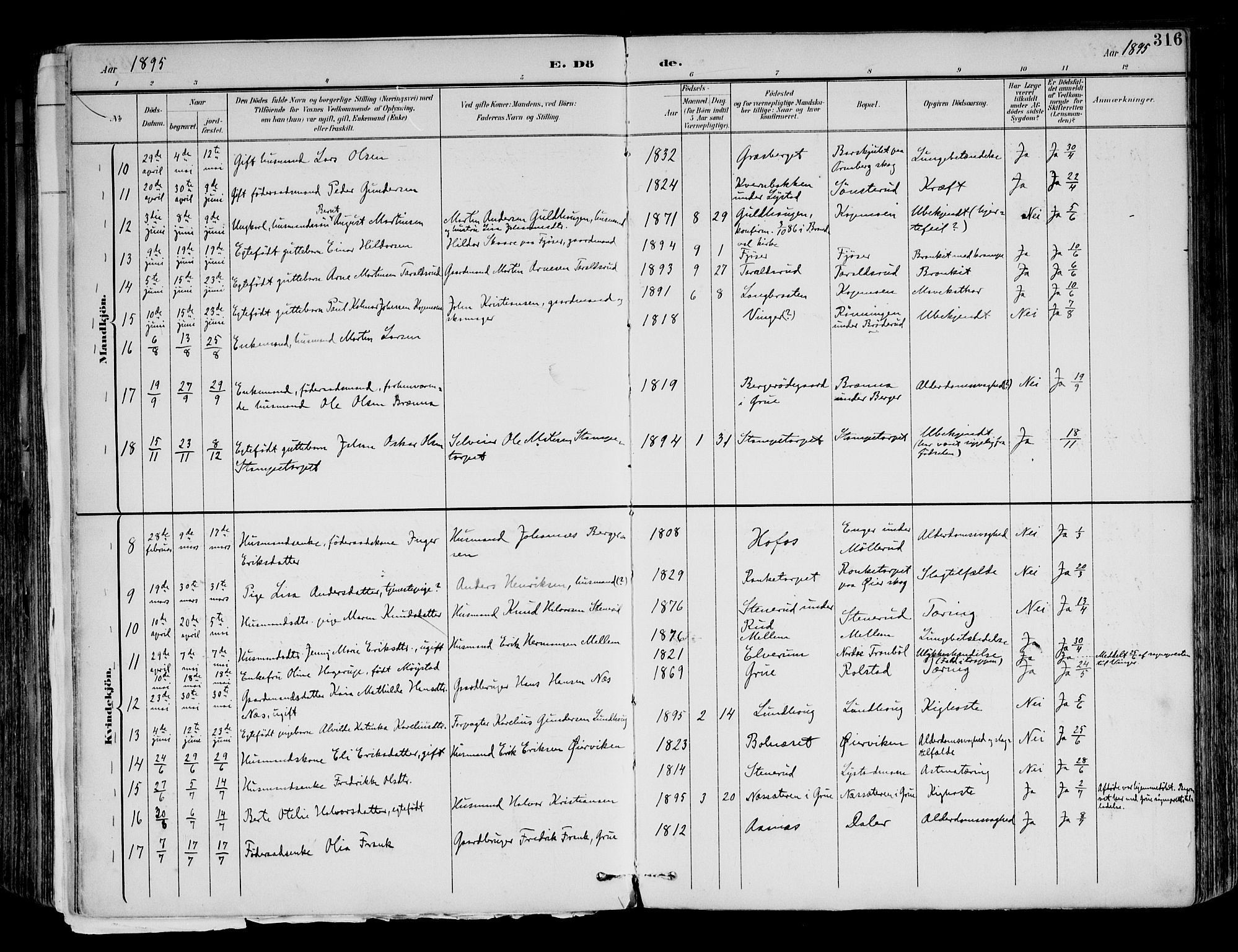 Brandval prestekontor, AV/SAH-PREST-034/H/Ha/Haa/L0003: Parish register (official) no. 3, 1894-1909, p. 316