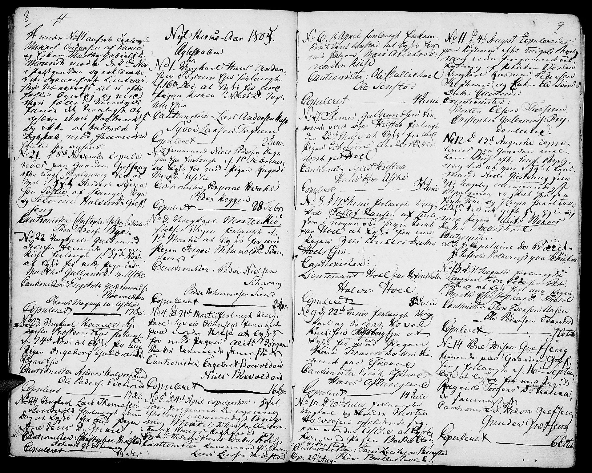 Nes prestekontor, Hedmark, AV/SAH-PREST-020/K/Ka/L0001: Parish register (official) no. 1, 1802-1814, p. 8-9