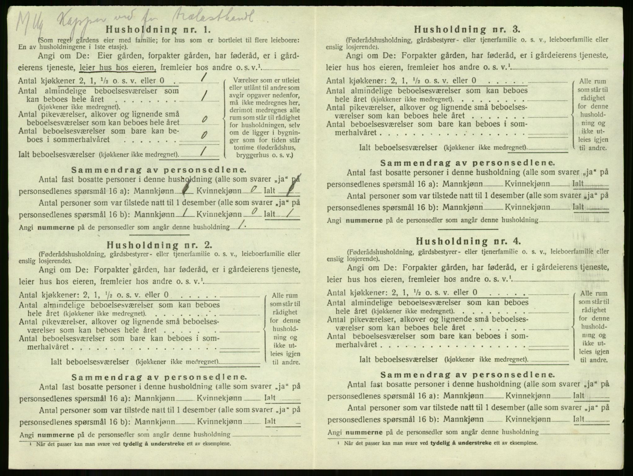 SAKO, 1920 census for Ramnes, 1920, p. 723