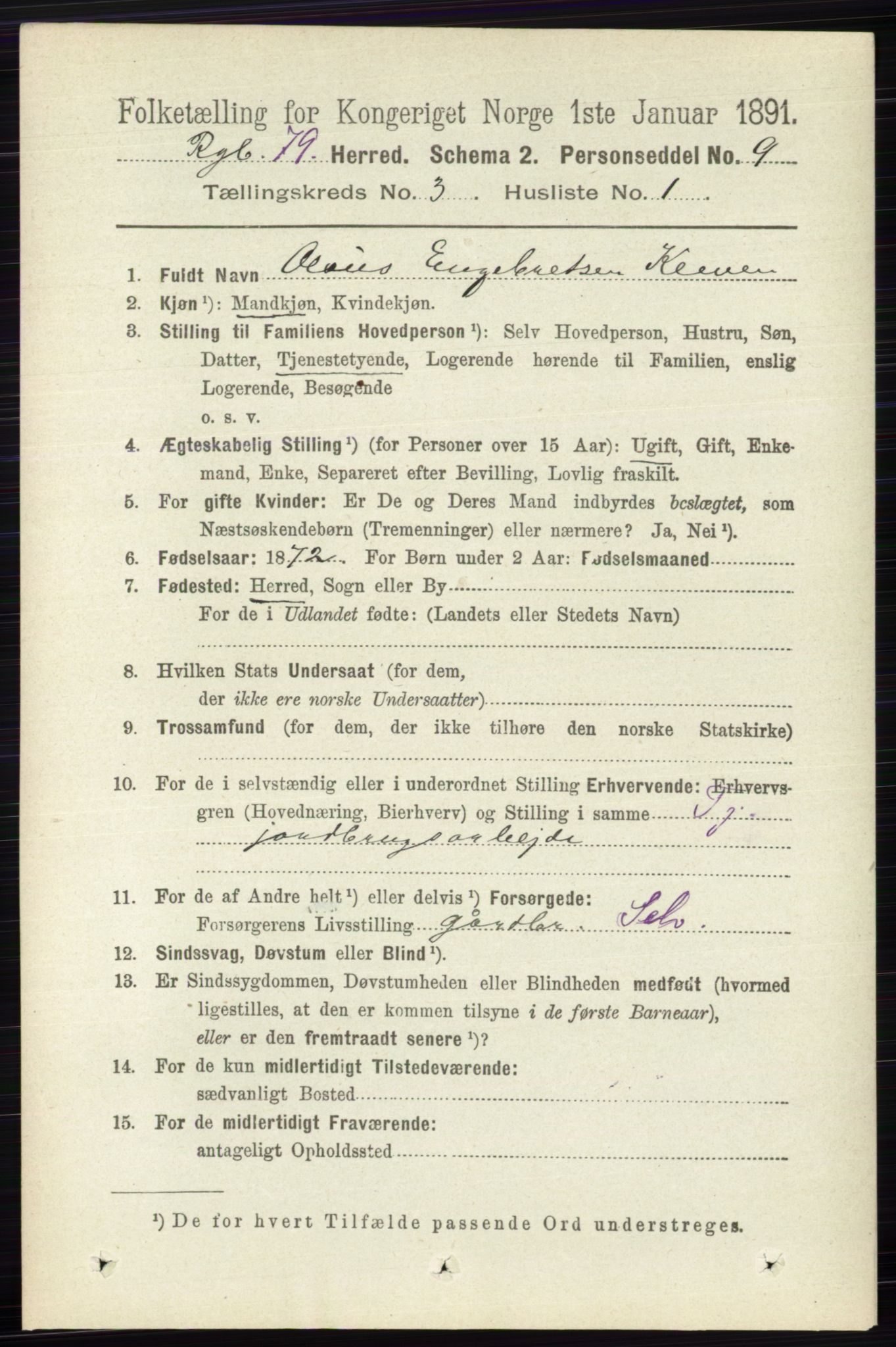 RA, 1891 census for 0520 Ringebu, 1891, p. 729