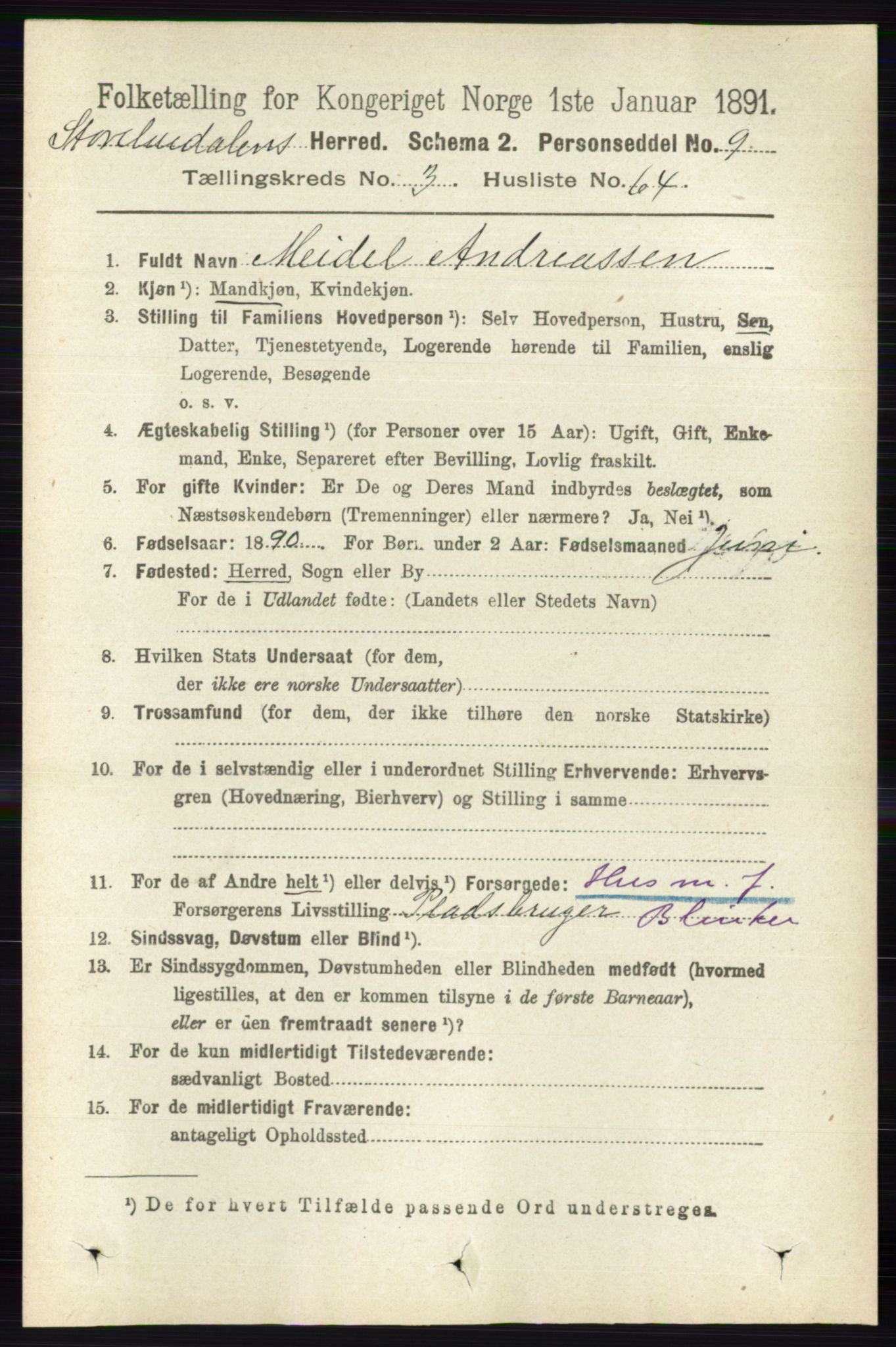RA, 1891 census for 0430 Stor-Elvdal, 1891, p. 1299