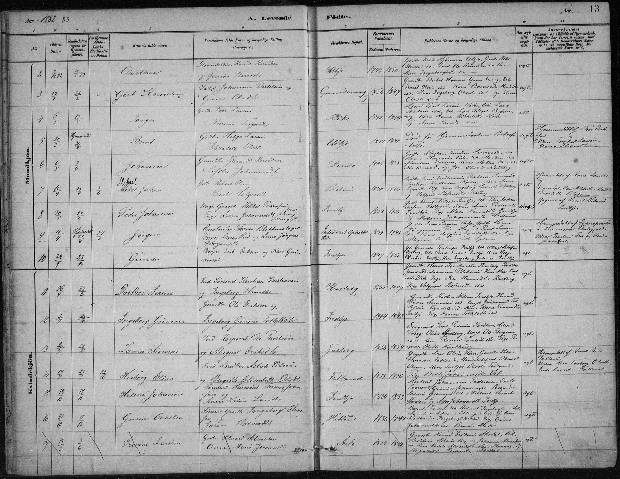 Fjelberg sokneprestembete, AV/SAB-A-75201/H/Haa: Parish register (official) no. B  1, 1879-1919, p. 13