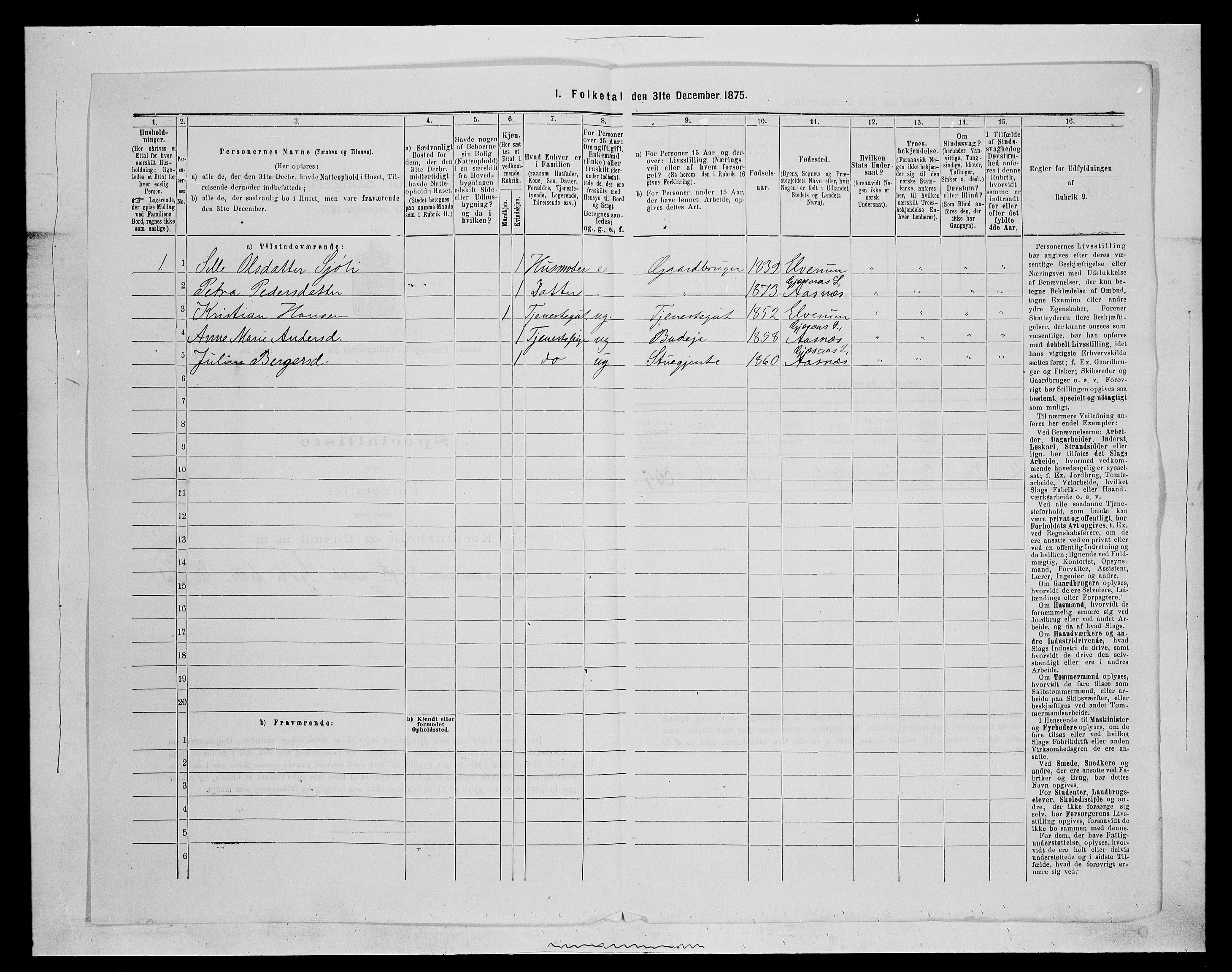 SAH, 1875 census for 0425P Åsnes, 1875, p. 700