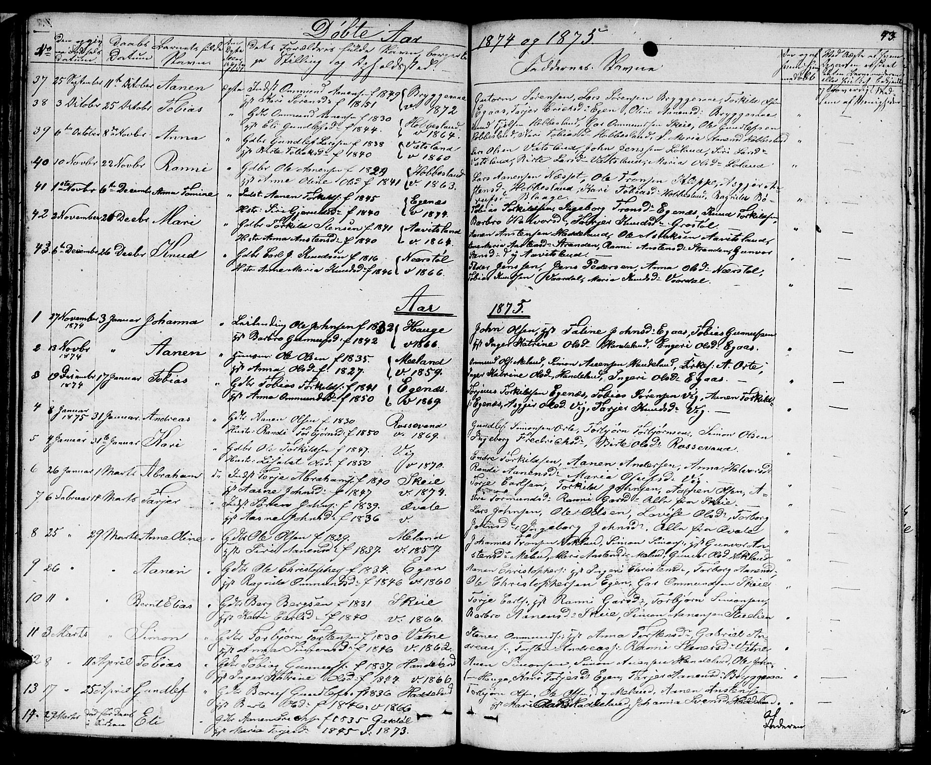 Hægebostad sokneprestkontor, AV/SAK-1111-0024/F/Fb/Fbb/L0002: Parish register (copy) no. B 2, 1851-1886, p. 43