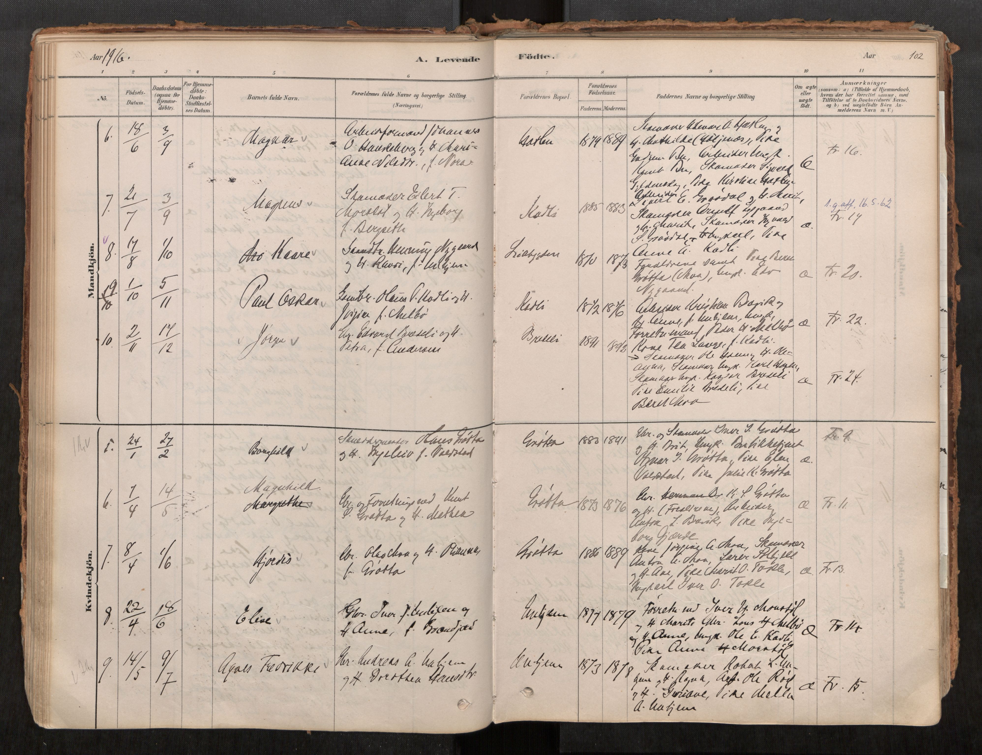 Ministerialprotokoller, klokkerbøker og fødselsregistre - Møre og Romsdal, AV/SAT-A-1454/545/L0594: Parish register (official) no. 545A03, 1878-1920, p. 102