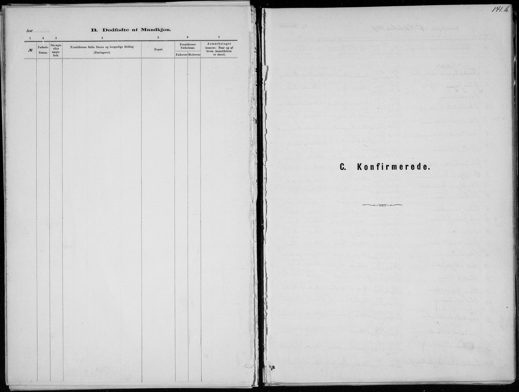 Oddernes sokneprestkontor, SAK/1111-0033/F/Fa/Faa/L0009: Parish register (official) no. A 9, 1884-1896, p. 141k