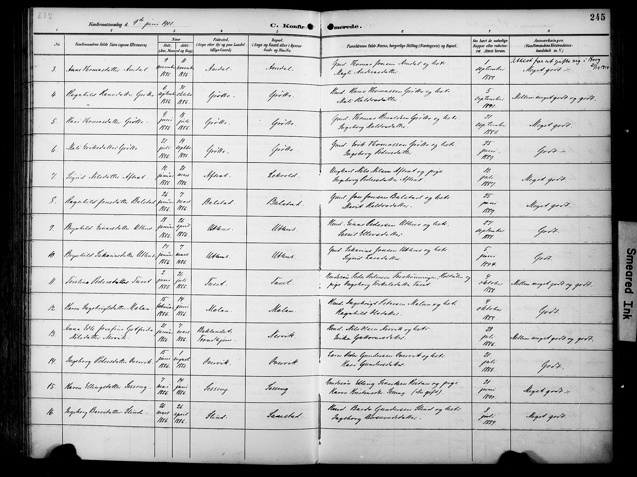 Ministerialprotokoller, klokkerbøker og fødselsregistre - Sør-Trøndelag, AV/SAT-A-1456/695/L1149: Parish register (official) no. 695A09, 1891-1902, p. 245