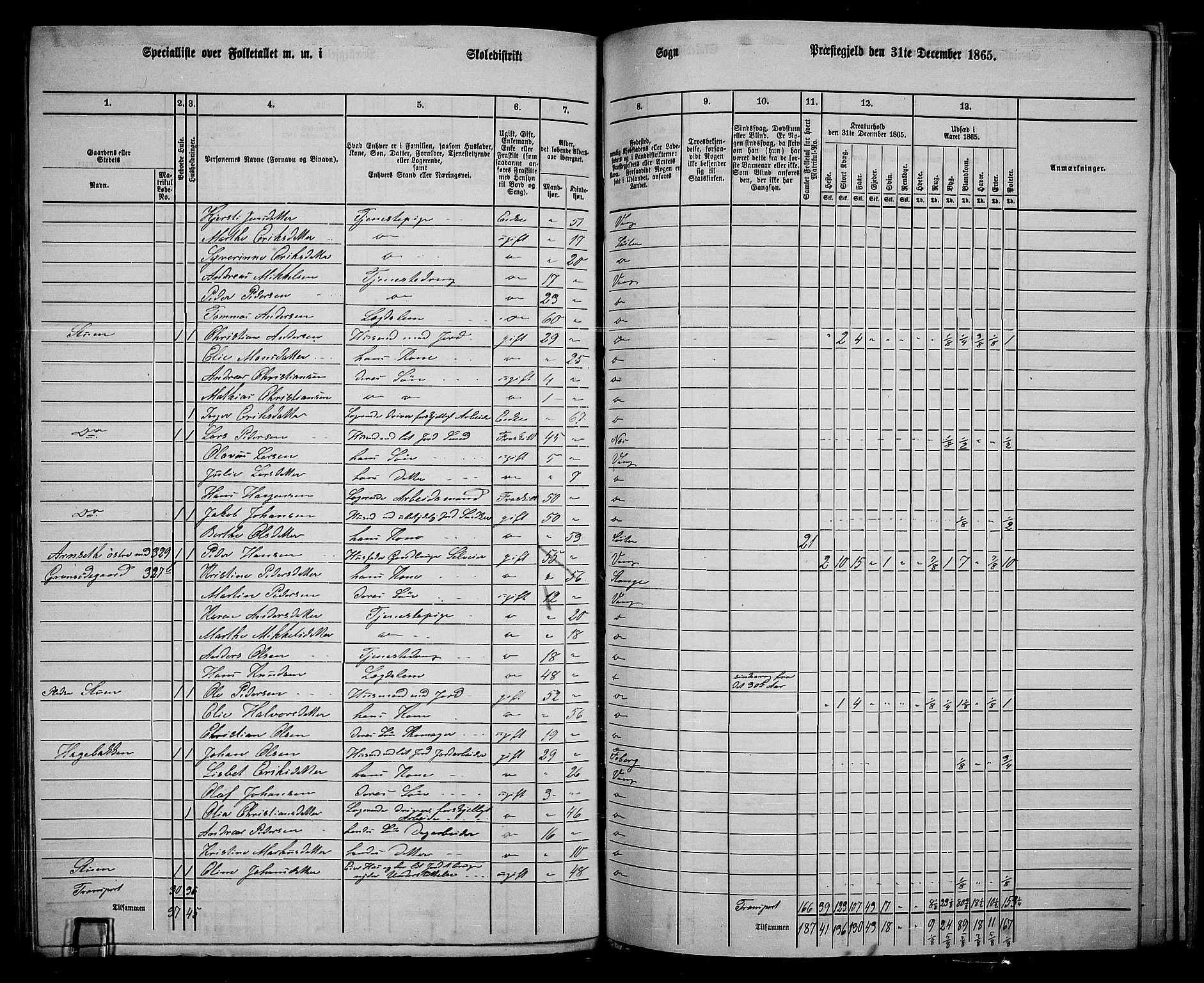 RA, 1865 census for Vang/Vang og Furnes, 1865, p. 300