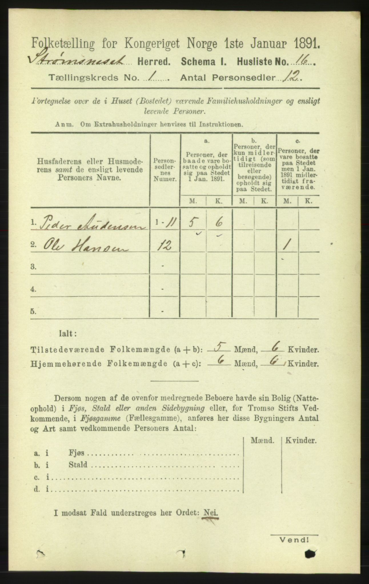 RA, 1891 census for 1559 Straumsnes, 1891, p. 37