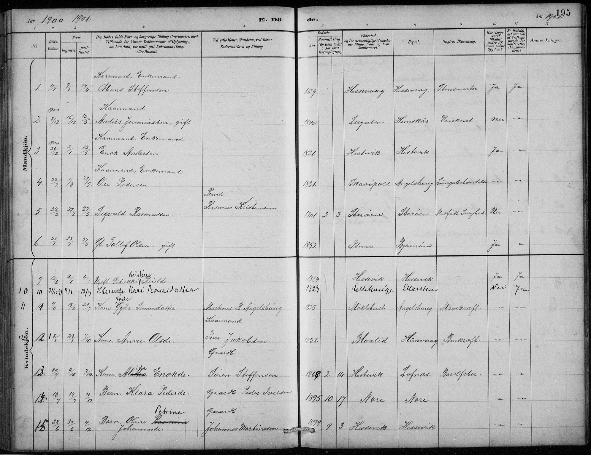 Davik sokneprestembete, AV/SAB-A-79701/H/Hab/Habc/L0002: Parish register (copy) no. C 2, 1889-1906, p. 195