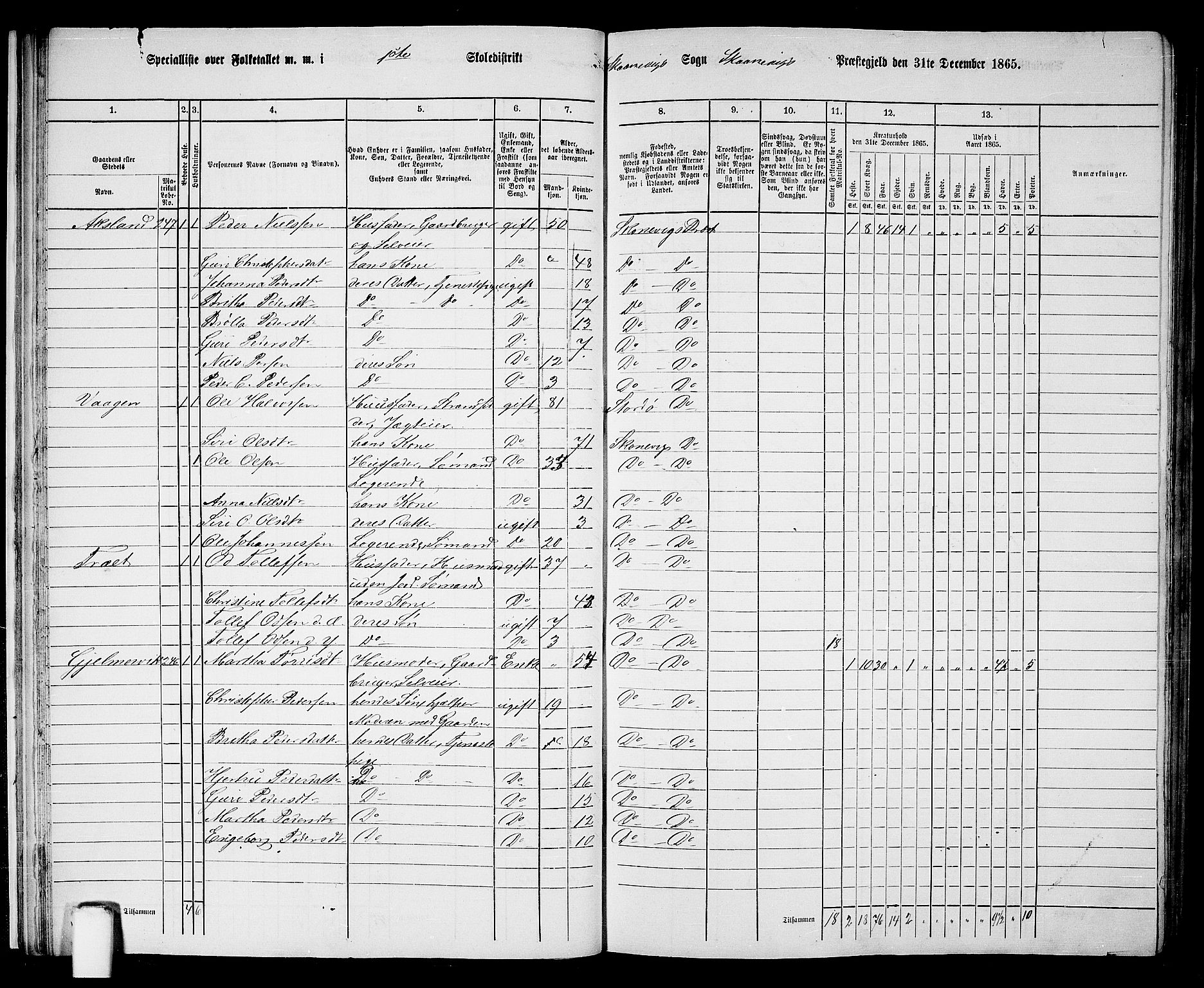 RA, 1865 census for Skånevik, 1865, p. 18