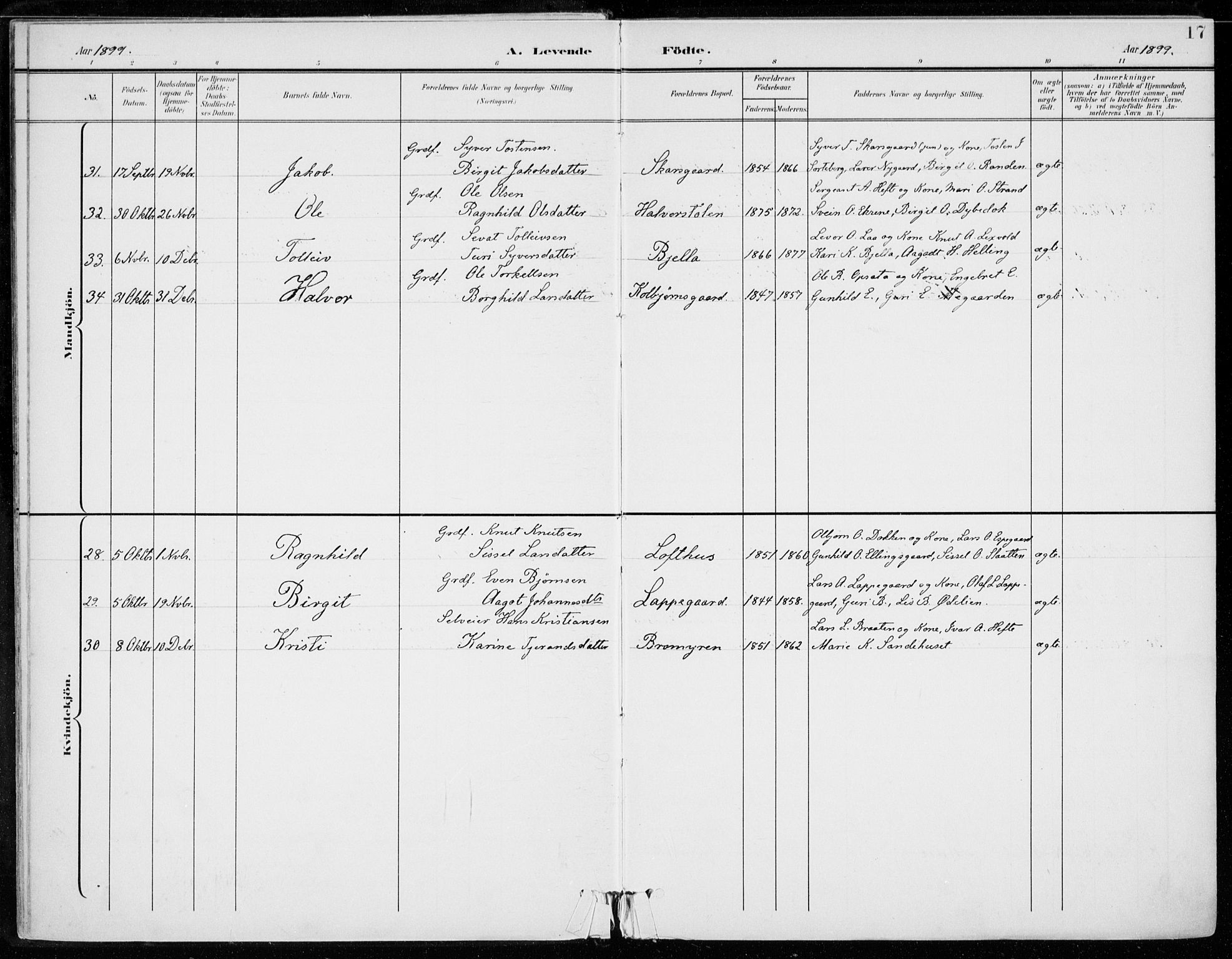 Ål kirkebøker, AV/SAKO-A-249/F/Fa/L0009: Parish register (official) no. I 9, 1897-1915, p. 17