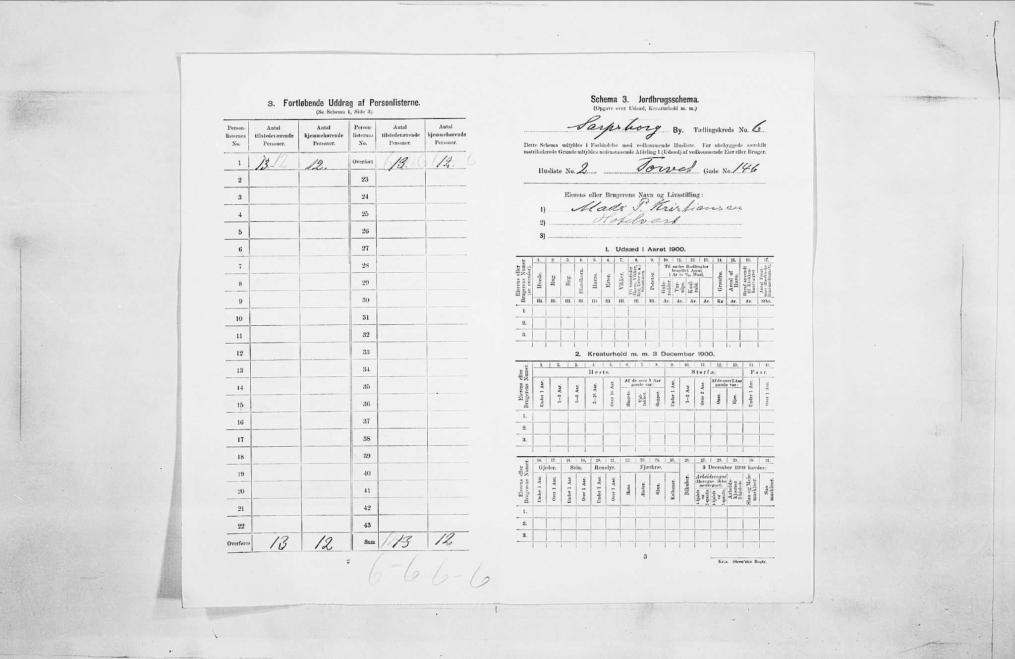 SAO, 1900 census for Sarpsborg, 1900