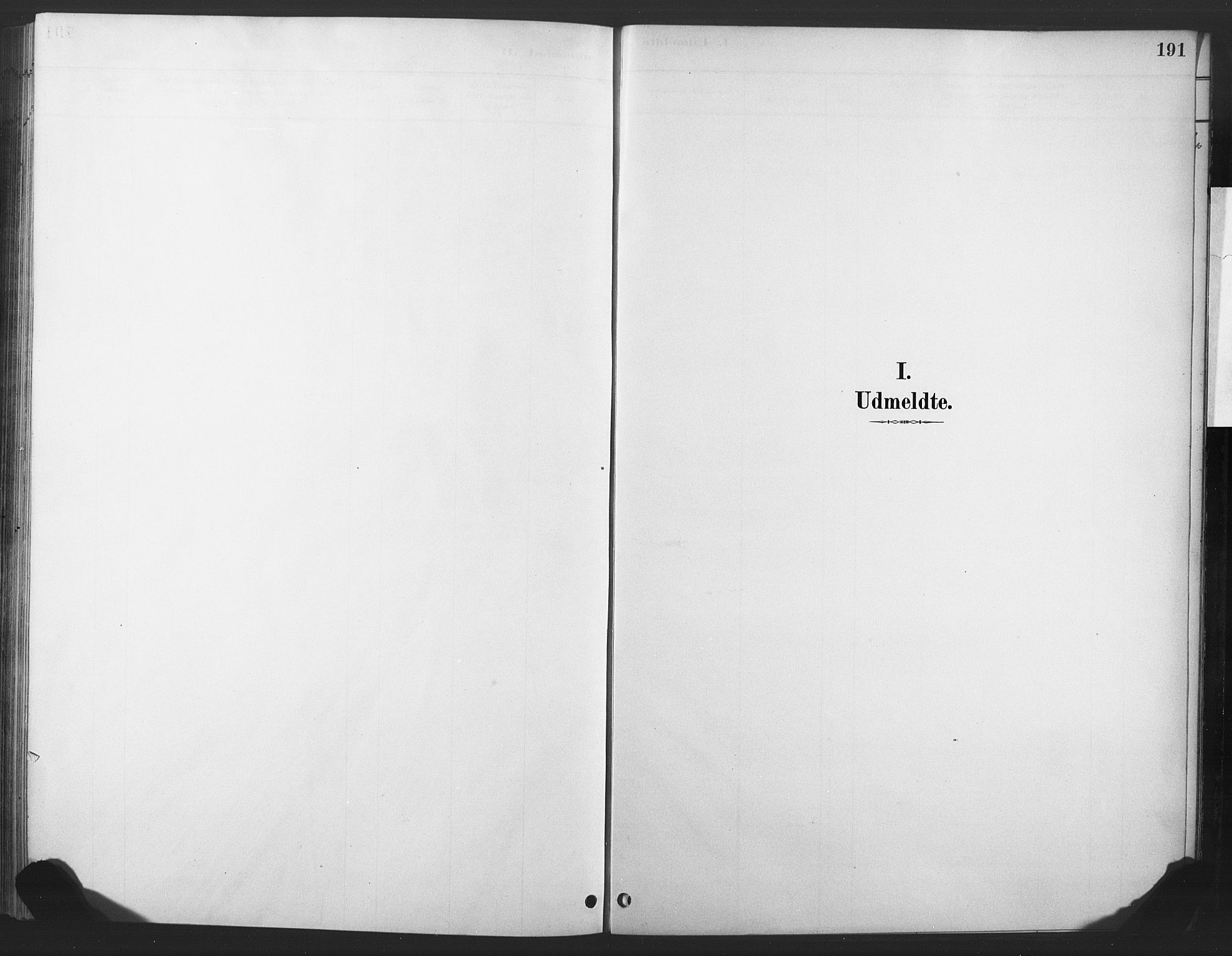 Nore kirkebøker, SAKO/A-238/F/Fd/L0001: Parish register (official) no. IV 1, 1878-1918, p. 191